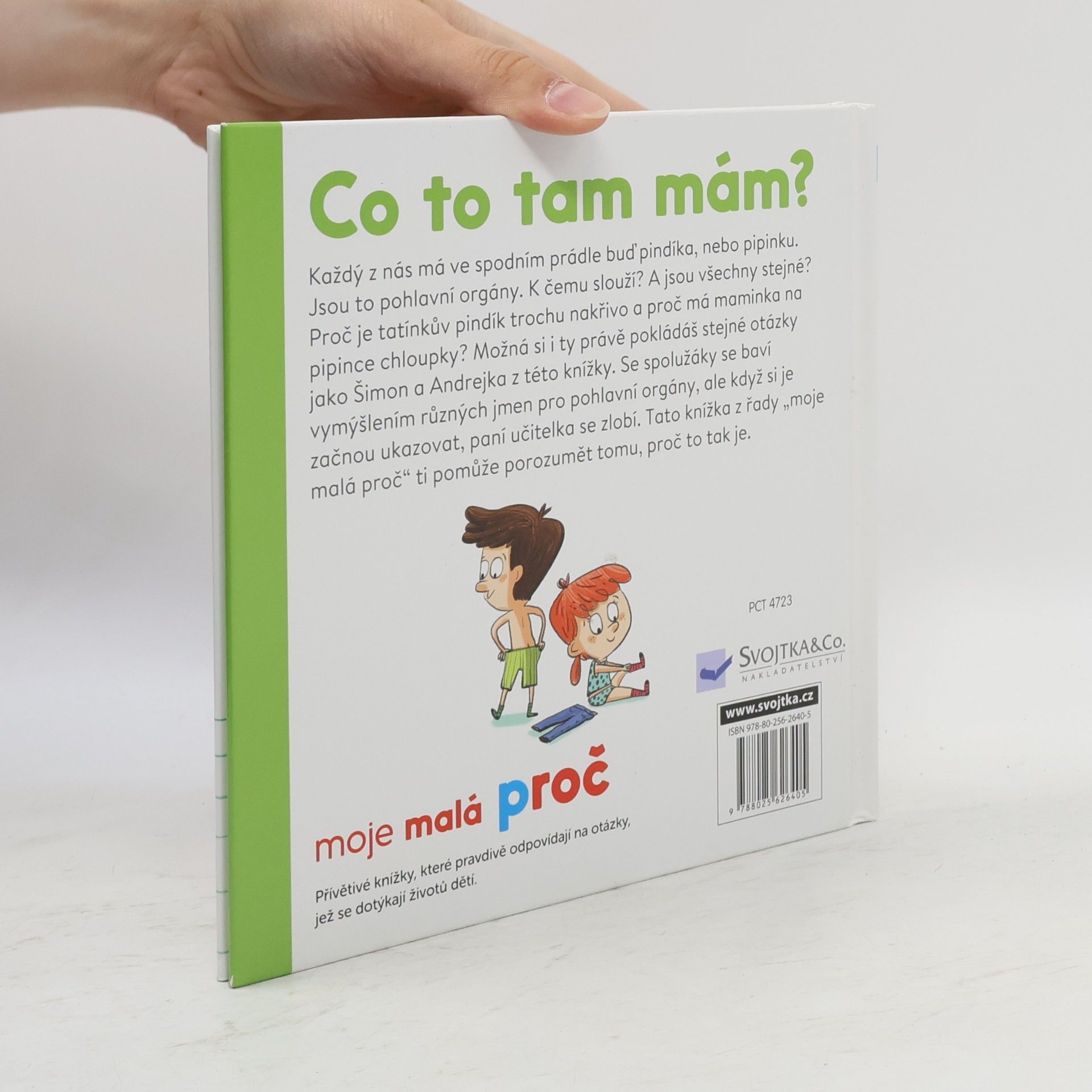Camille Laurans Co to tam mám?