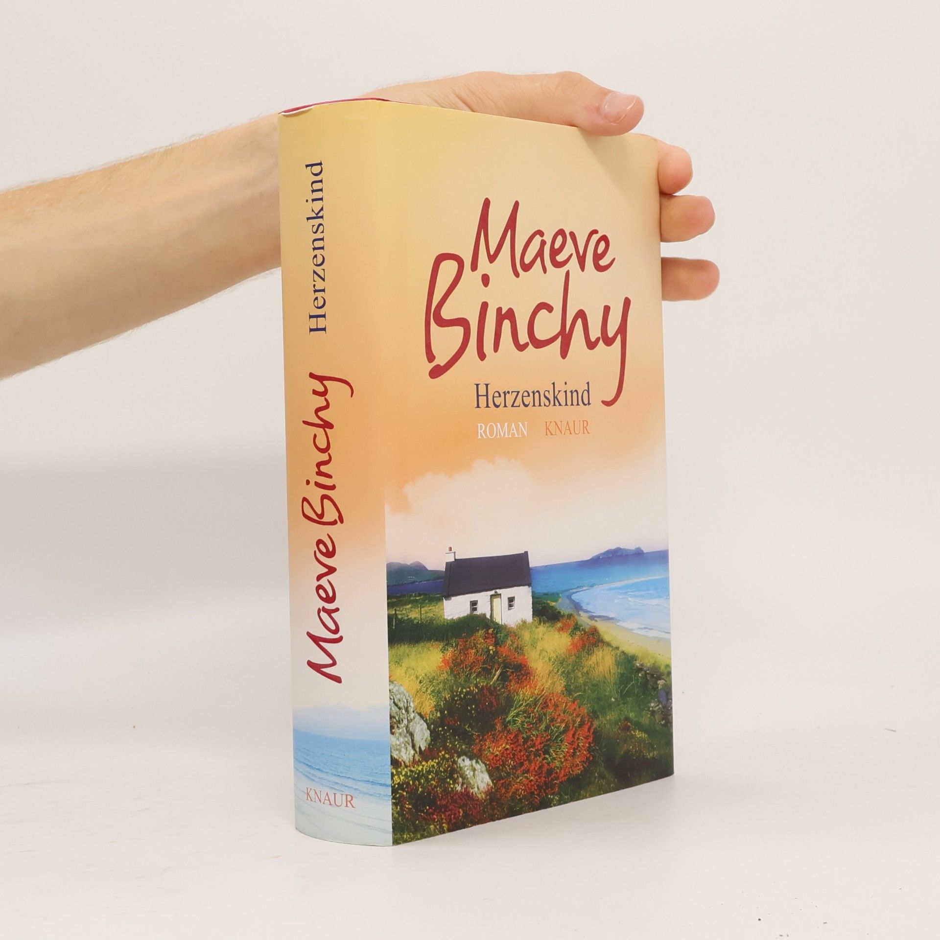 Maeve Binchy Herzenskind