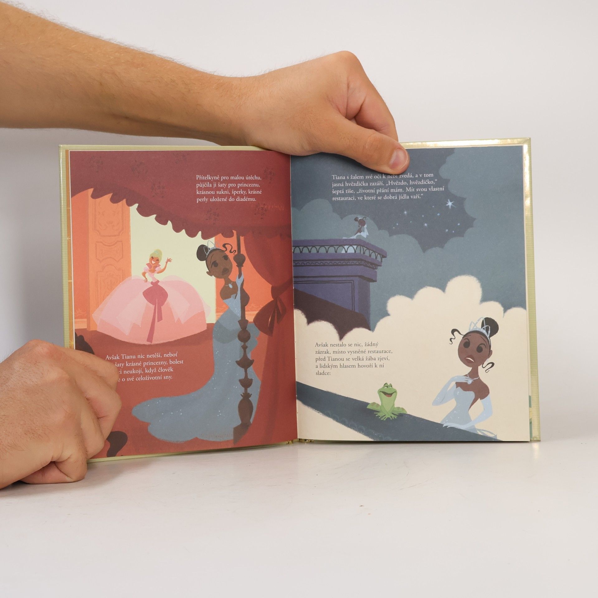 Various authors Zlatá sbírka pohádek 13. Princezna a žabák