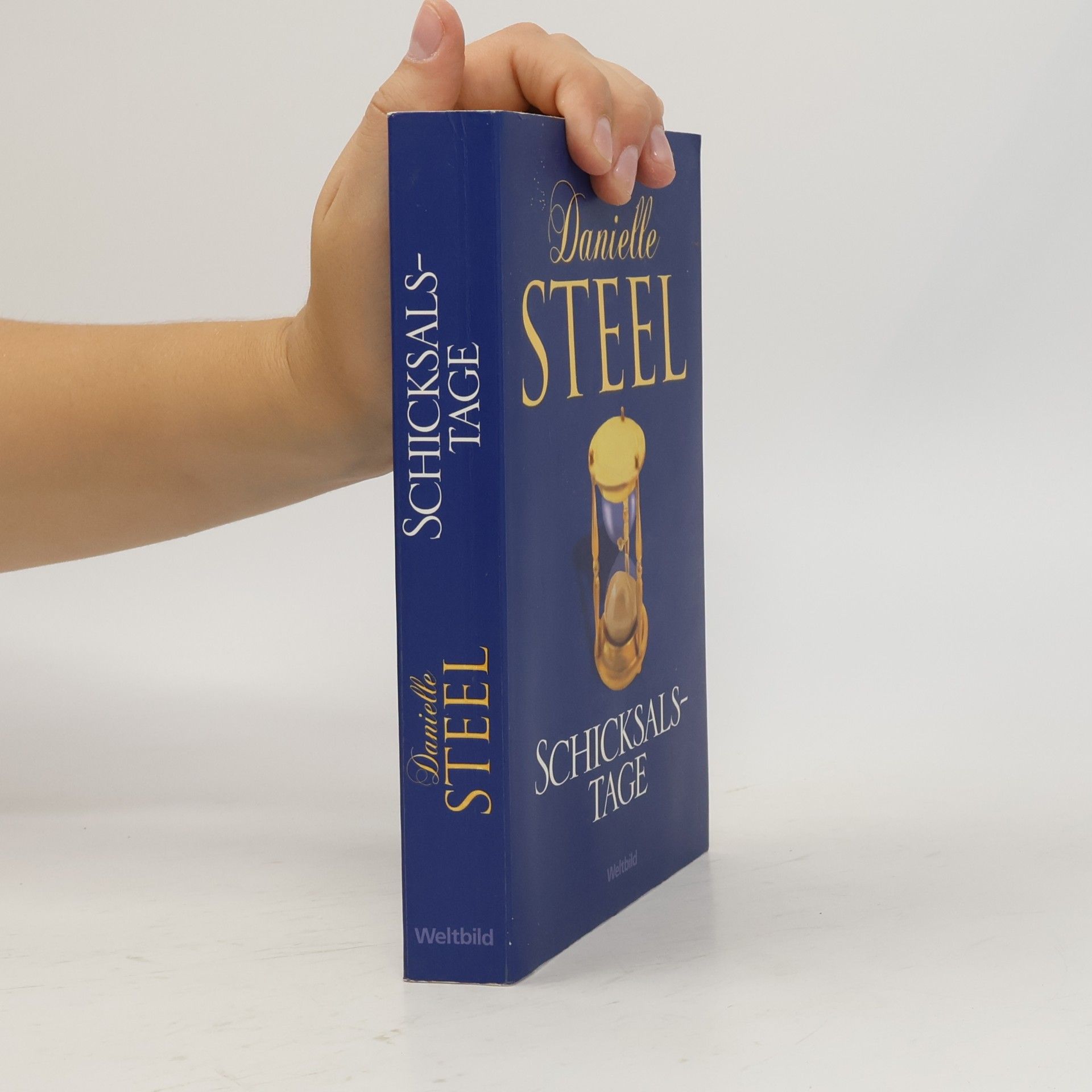 Danielle Steel Schicksalstage