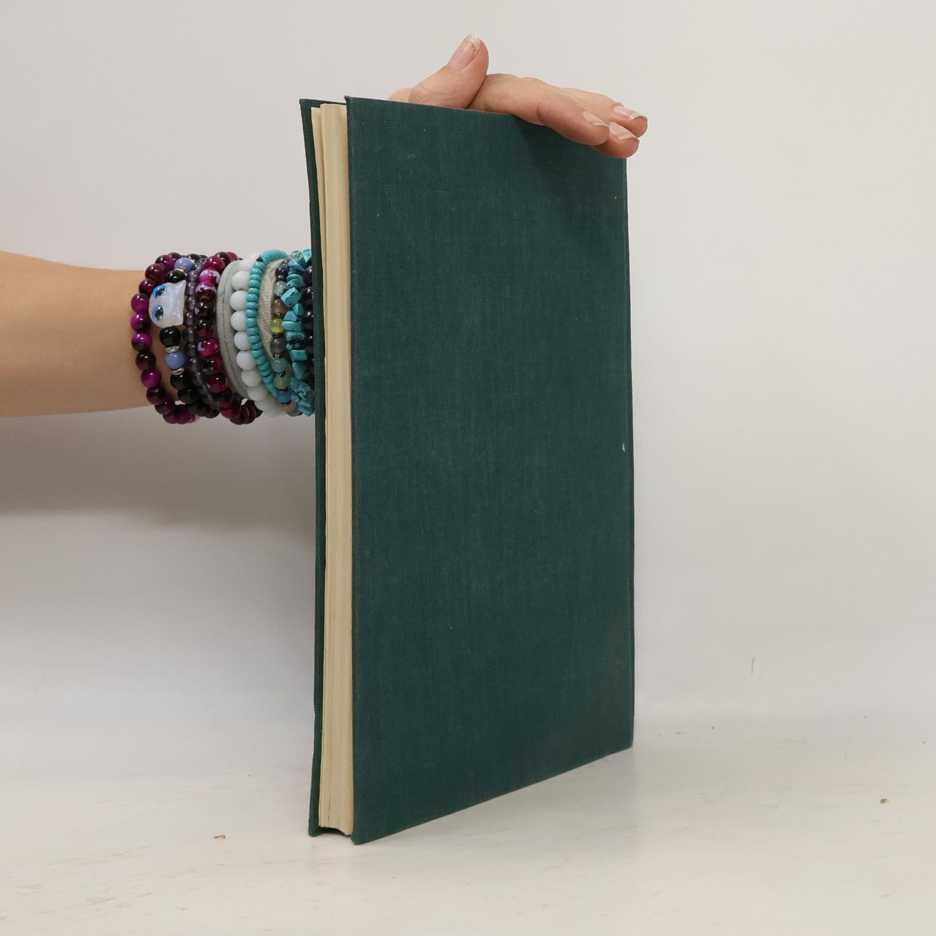Marianne Hainisch Das Buch des Hauses