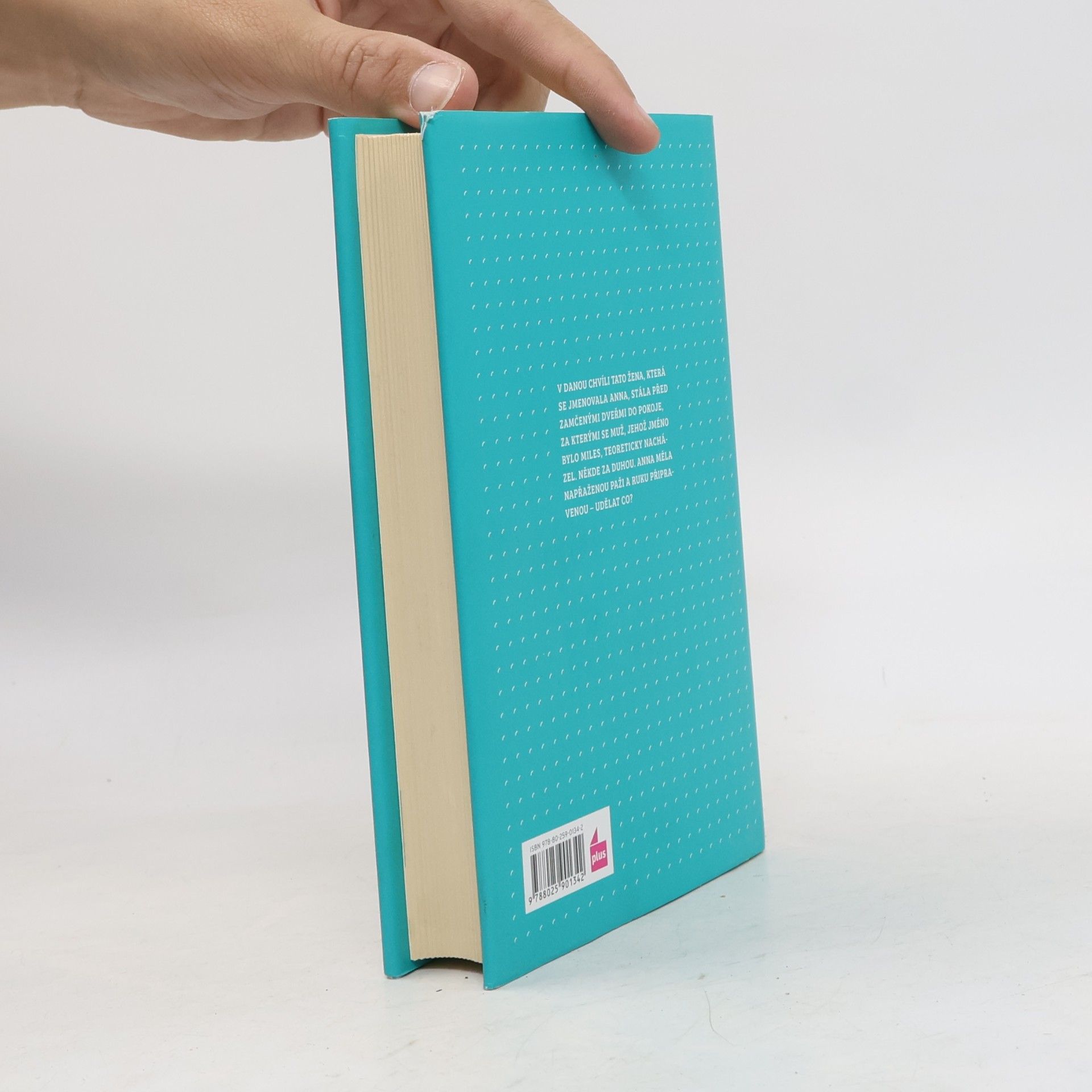 Ali Smith Tam někde za duhou