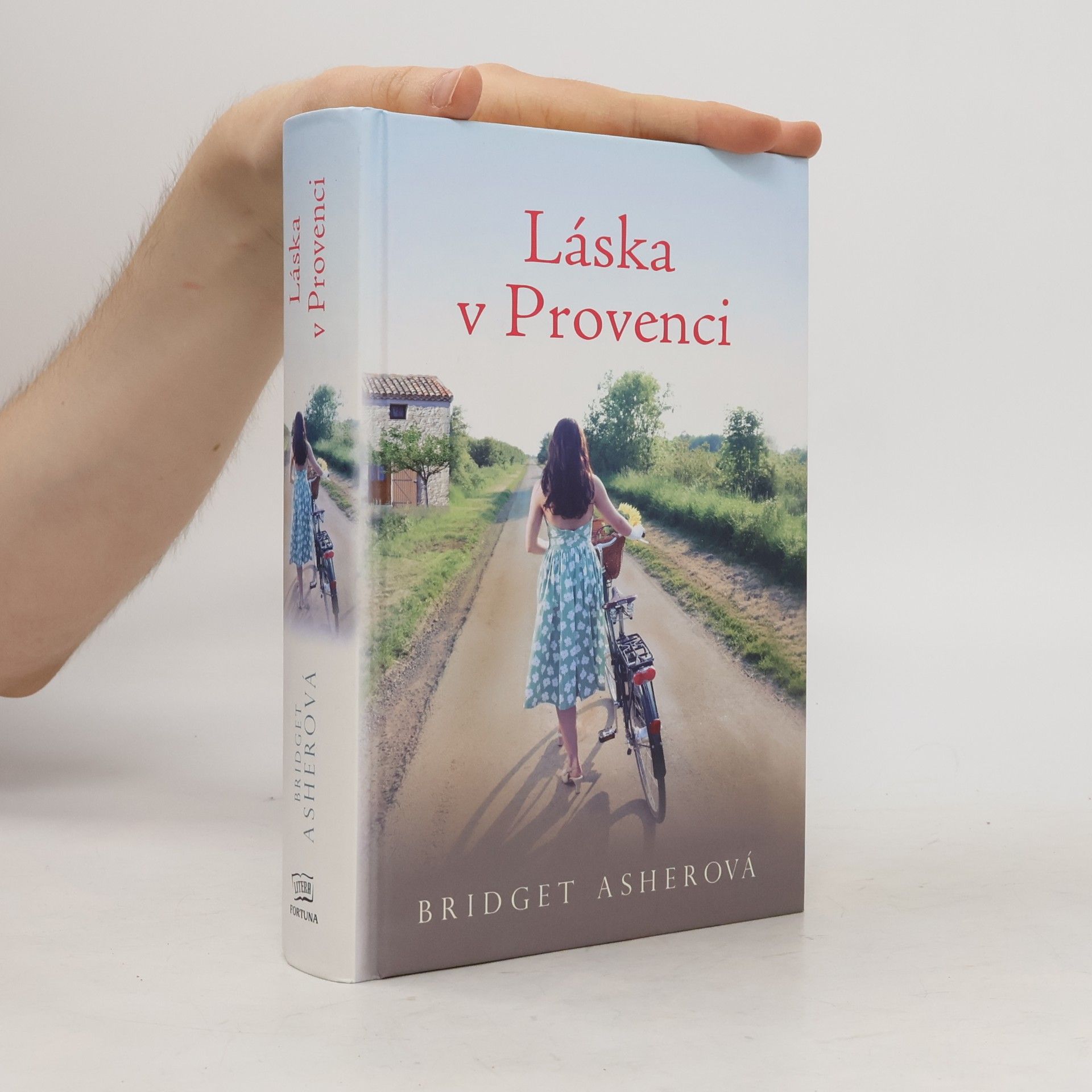 Bridget Asher Láska v Provenci