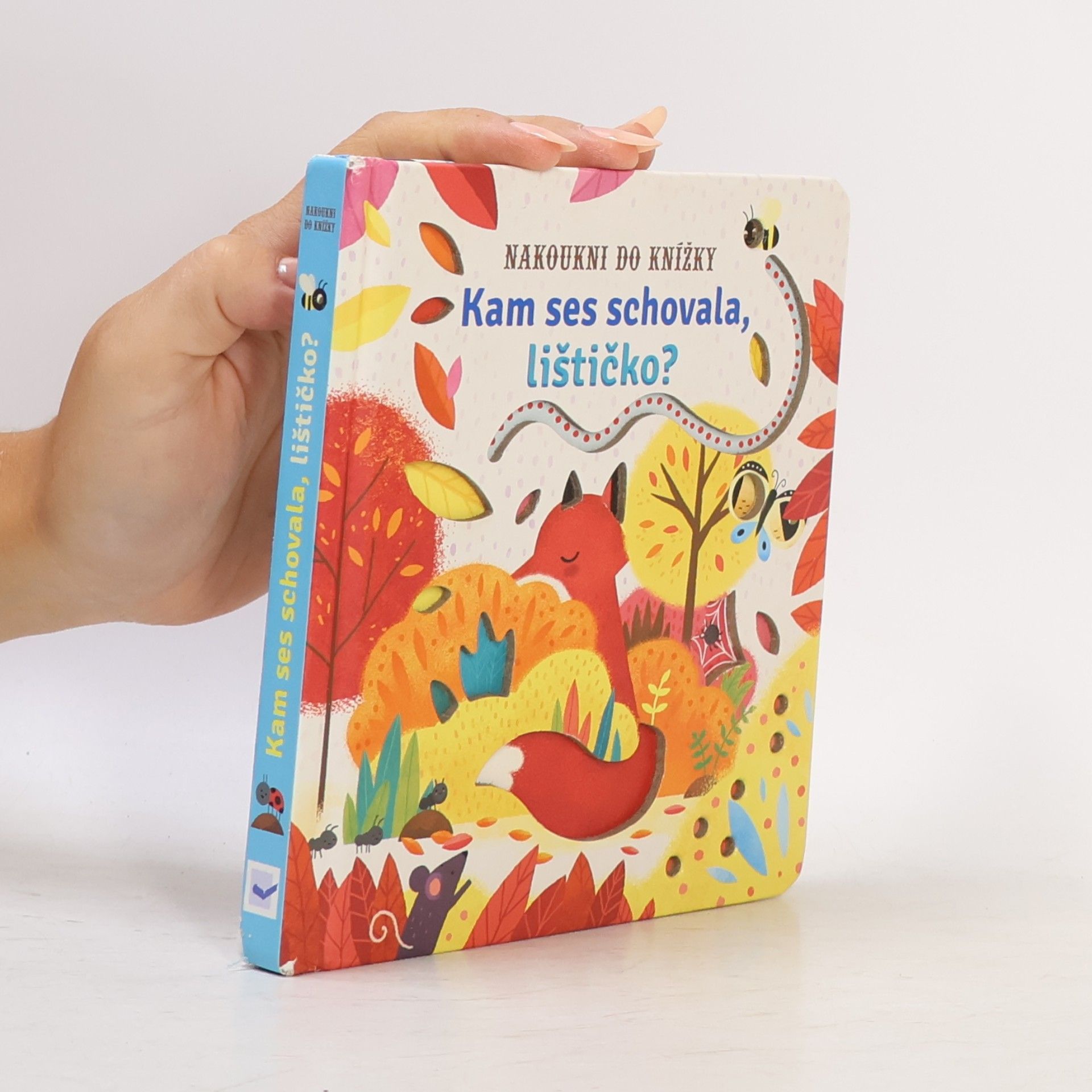 Autorenkollektiv Kam ses schovala, lištičko?