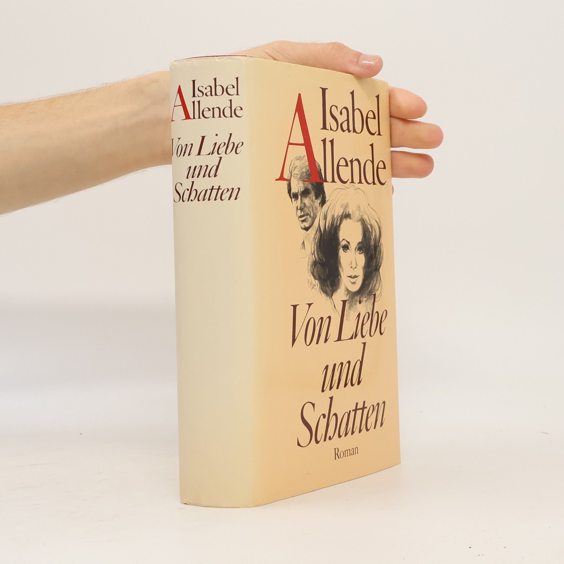 Isabel Allende Von Liebe und Schatten