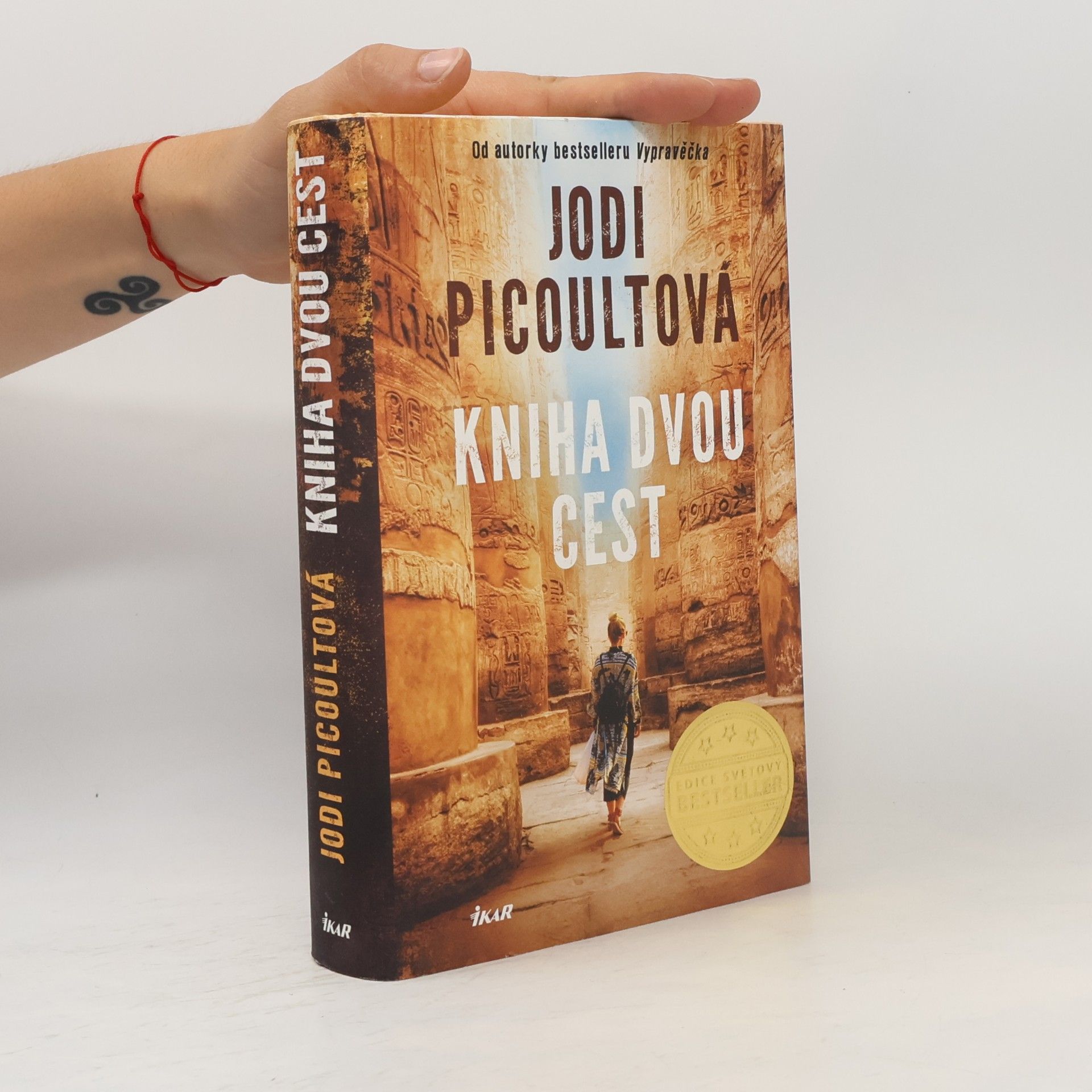 Jodi Picoult Kniha dvou cest