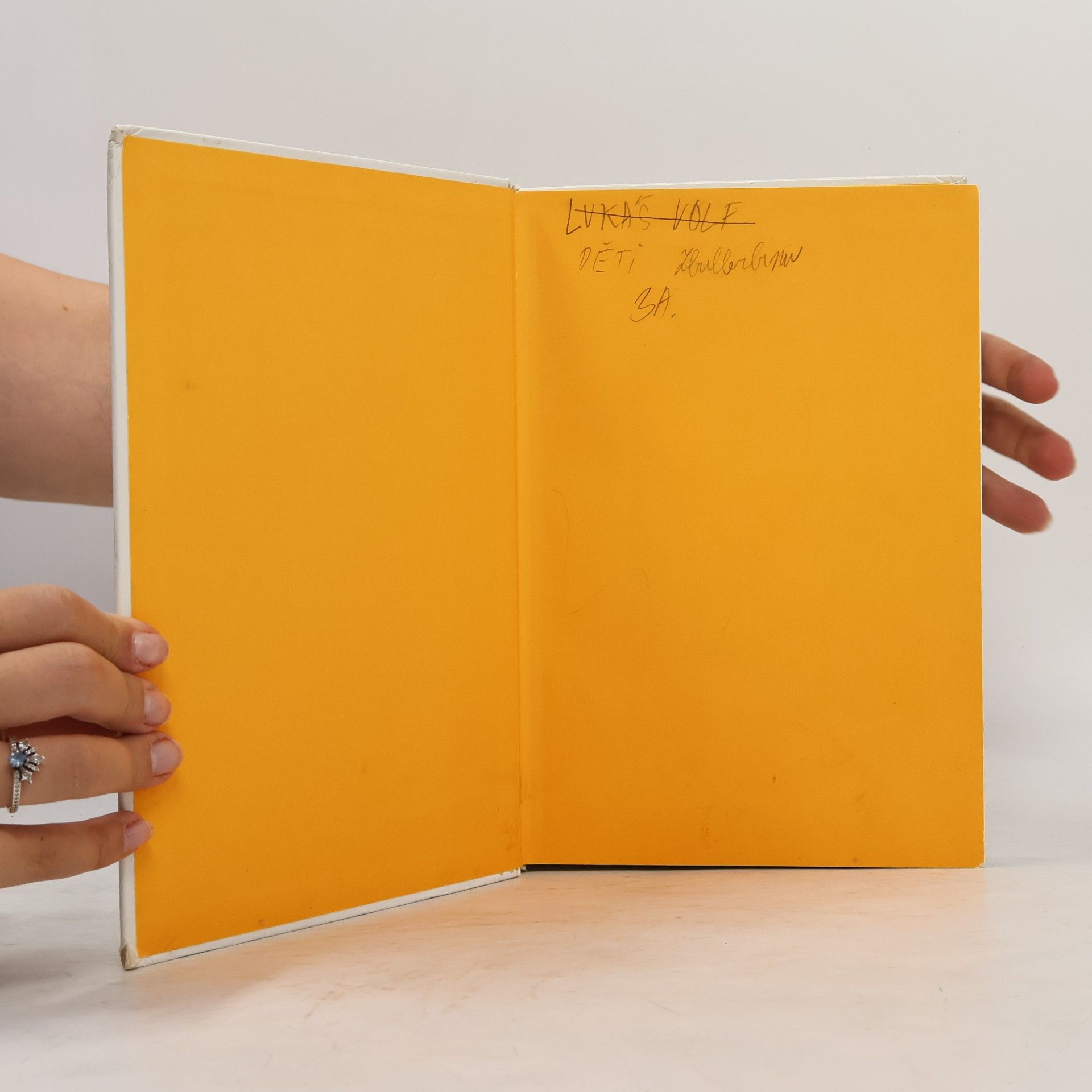 Astrid Lindgren Děti z Bullerbynu