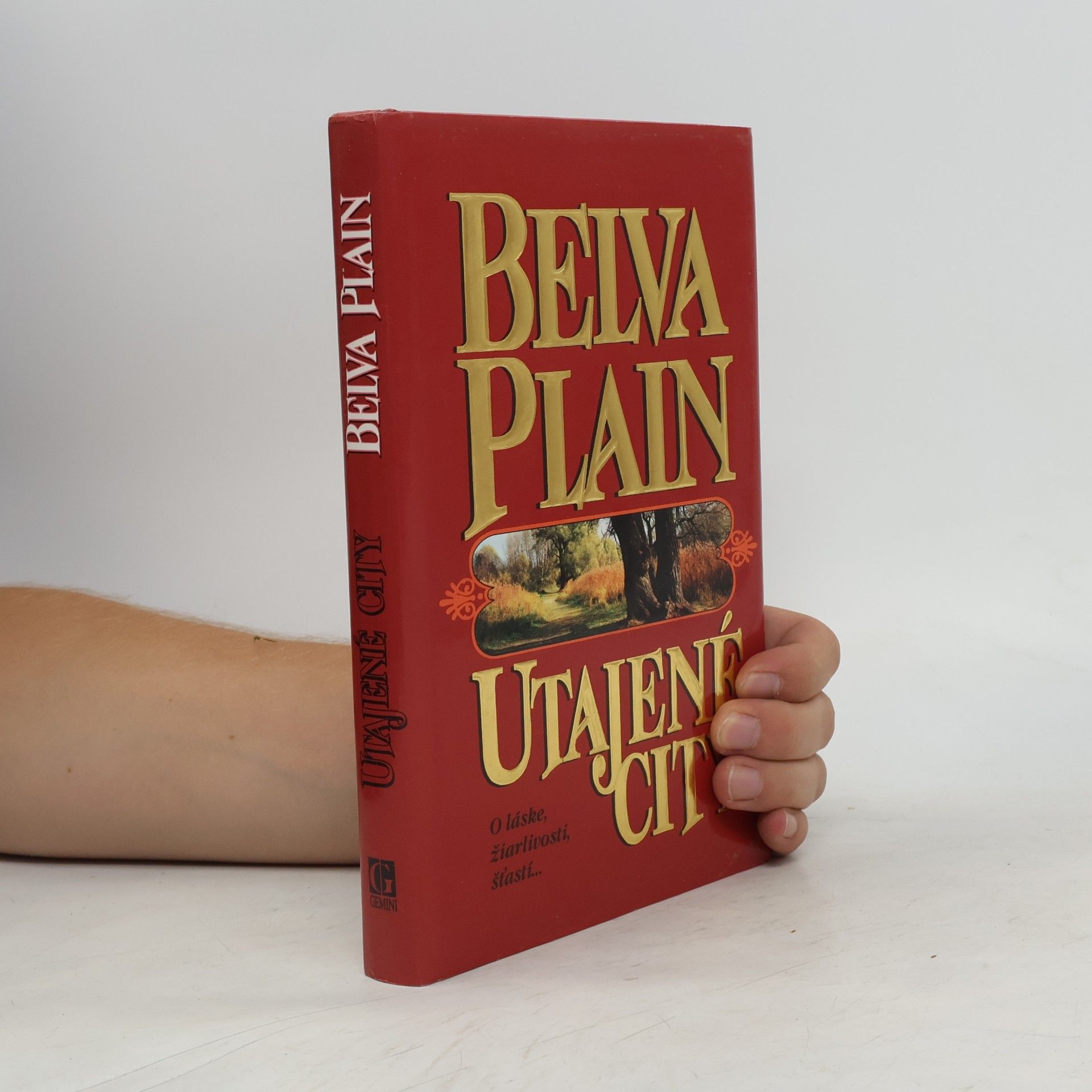 Belva Plain Utajené city