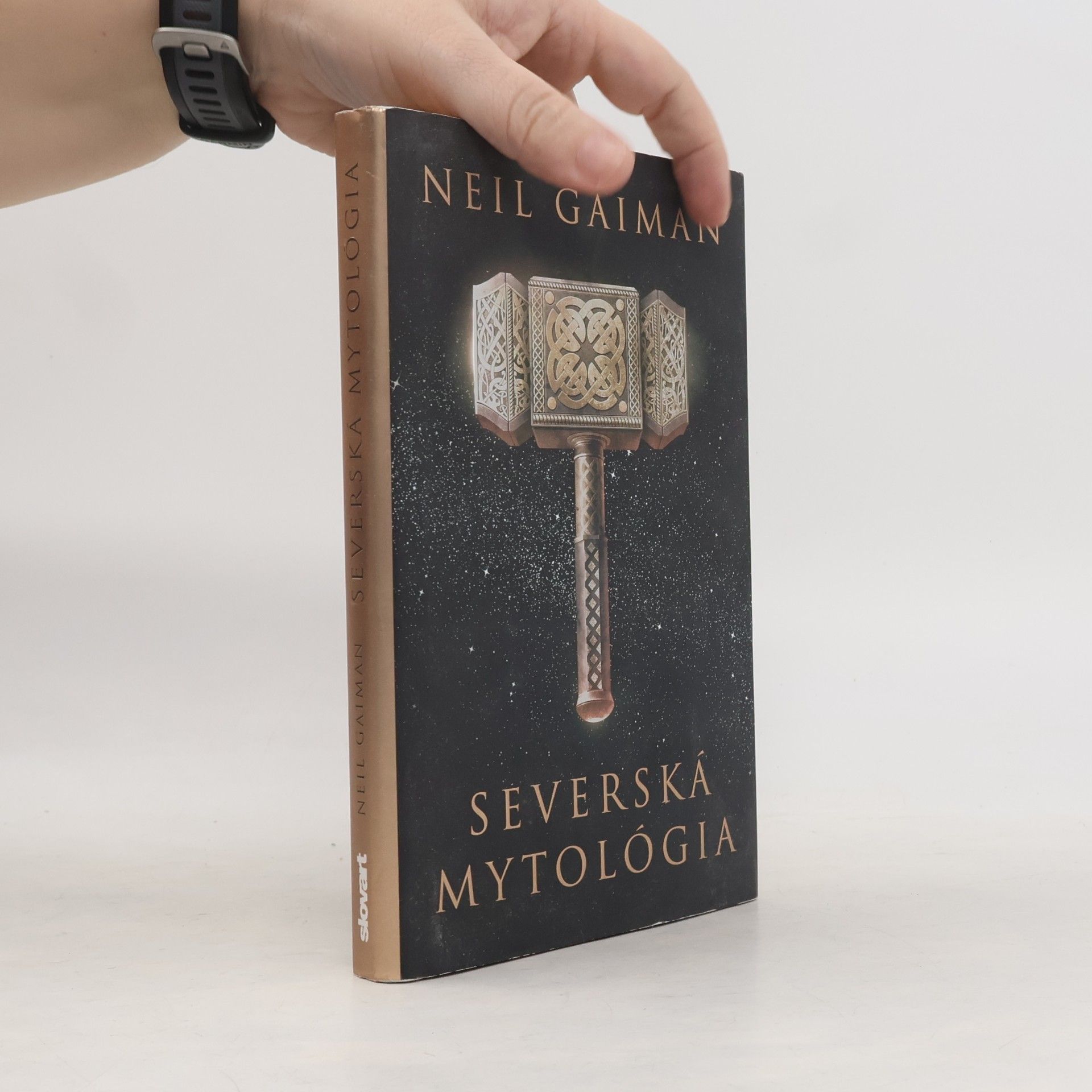 Neil Gaiman Severská mytológia