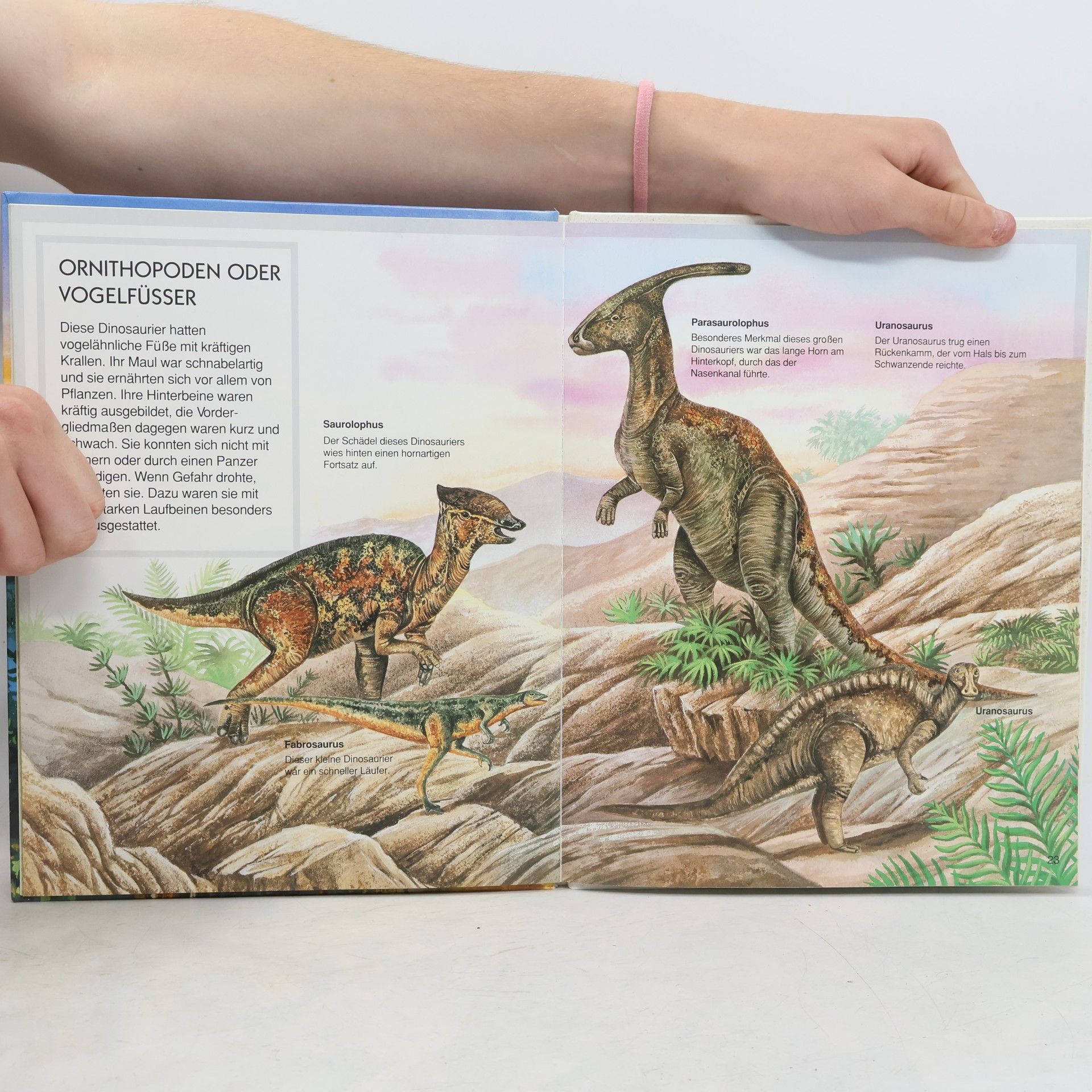 Lindsey Selley Dinosaurier