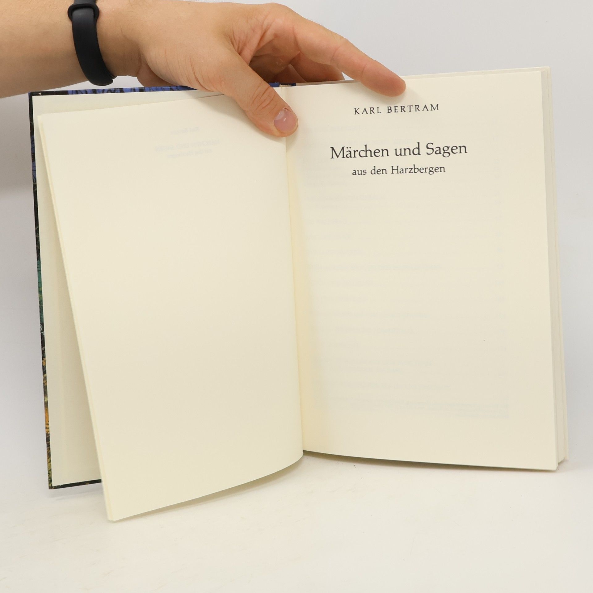 Karl Bertram Märchen und Sagen aus den Harzbergen