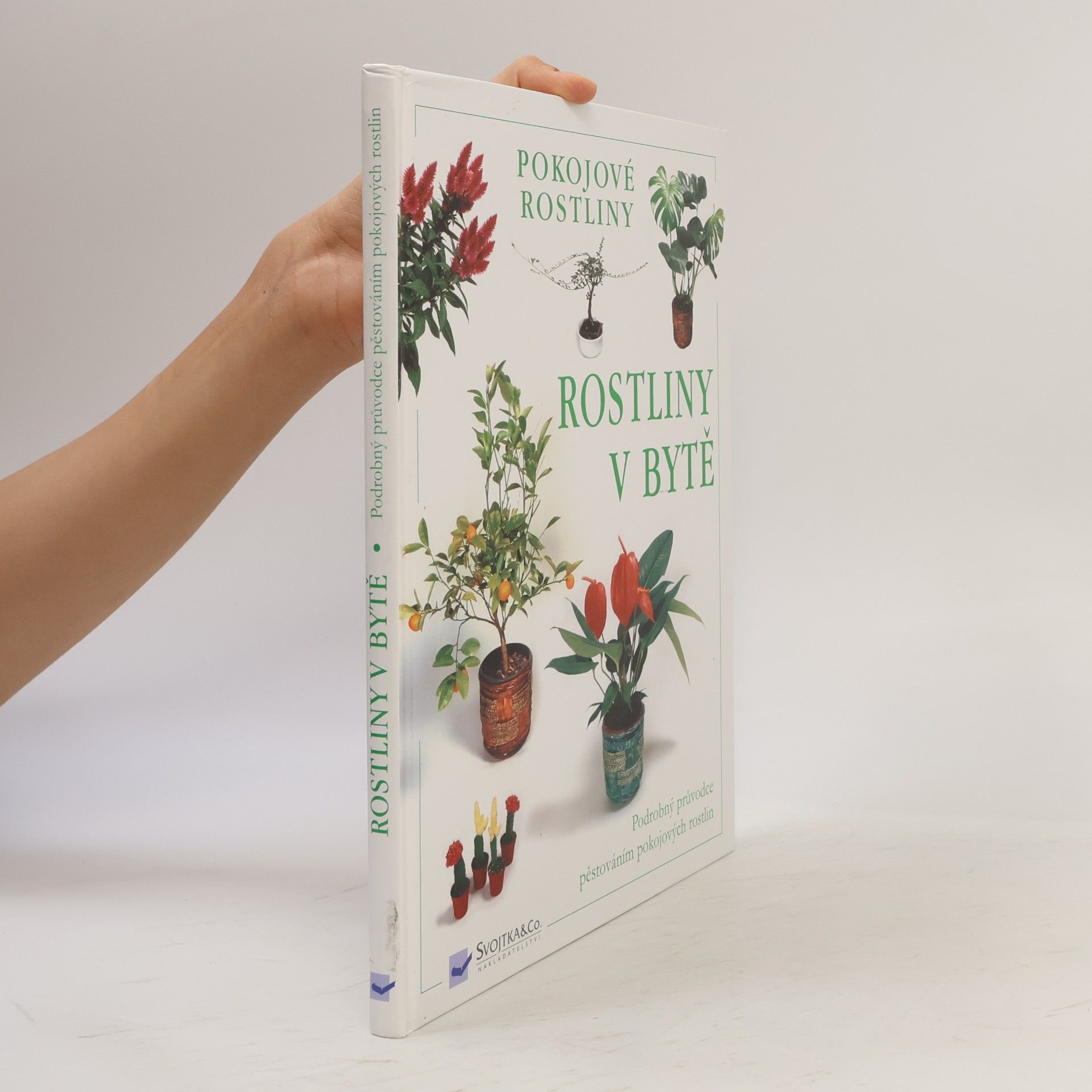 Collectif d'auteurs Rostliny v bytě. Pokojové rostliny