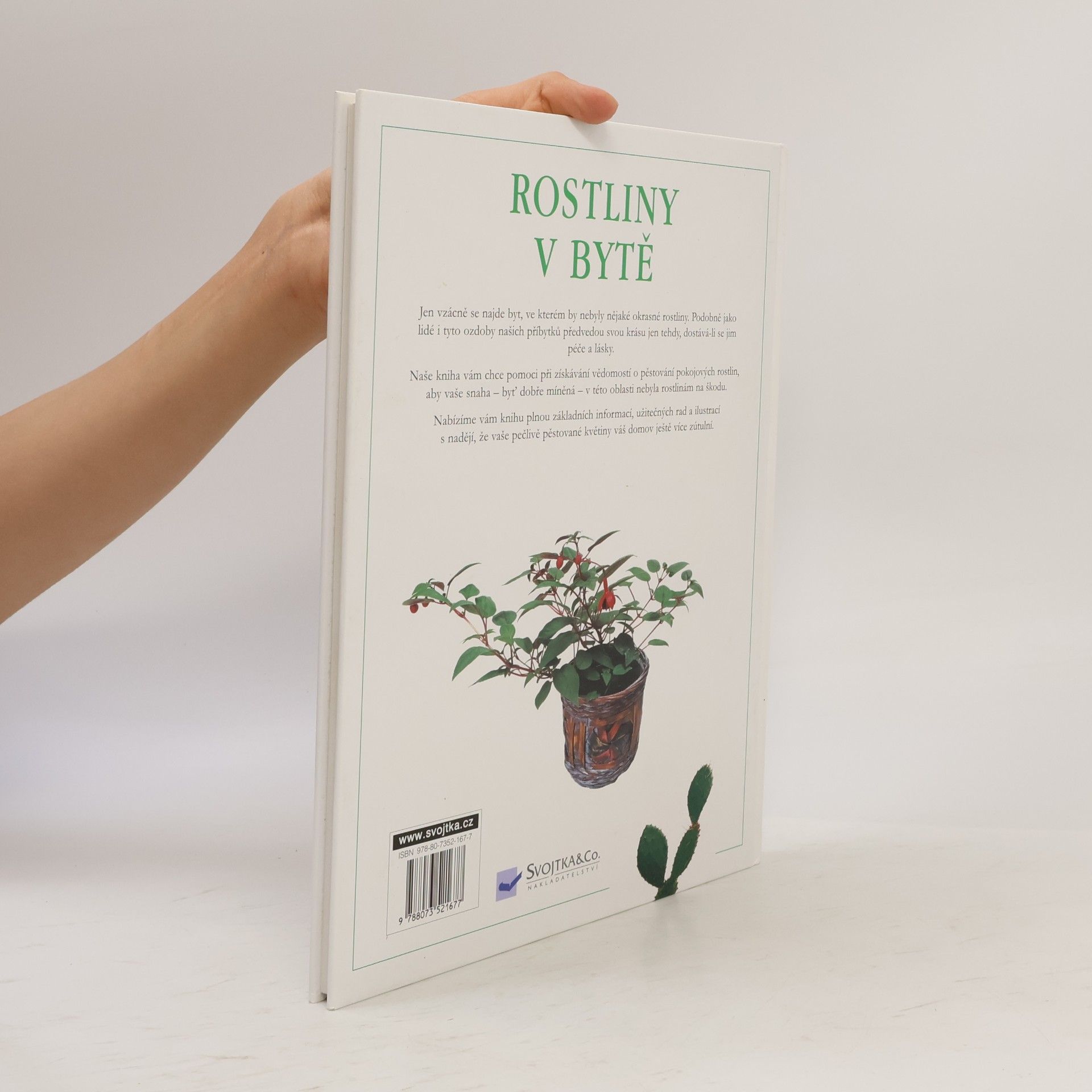 Auteurscollectief Rostliny v bytě. Pokojové rostliny