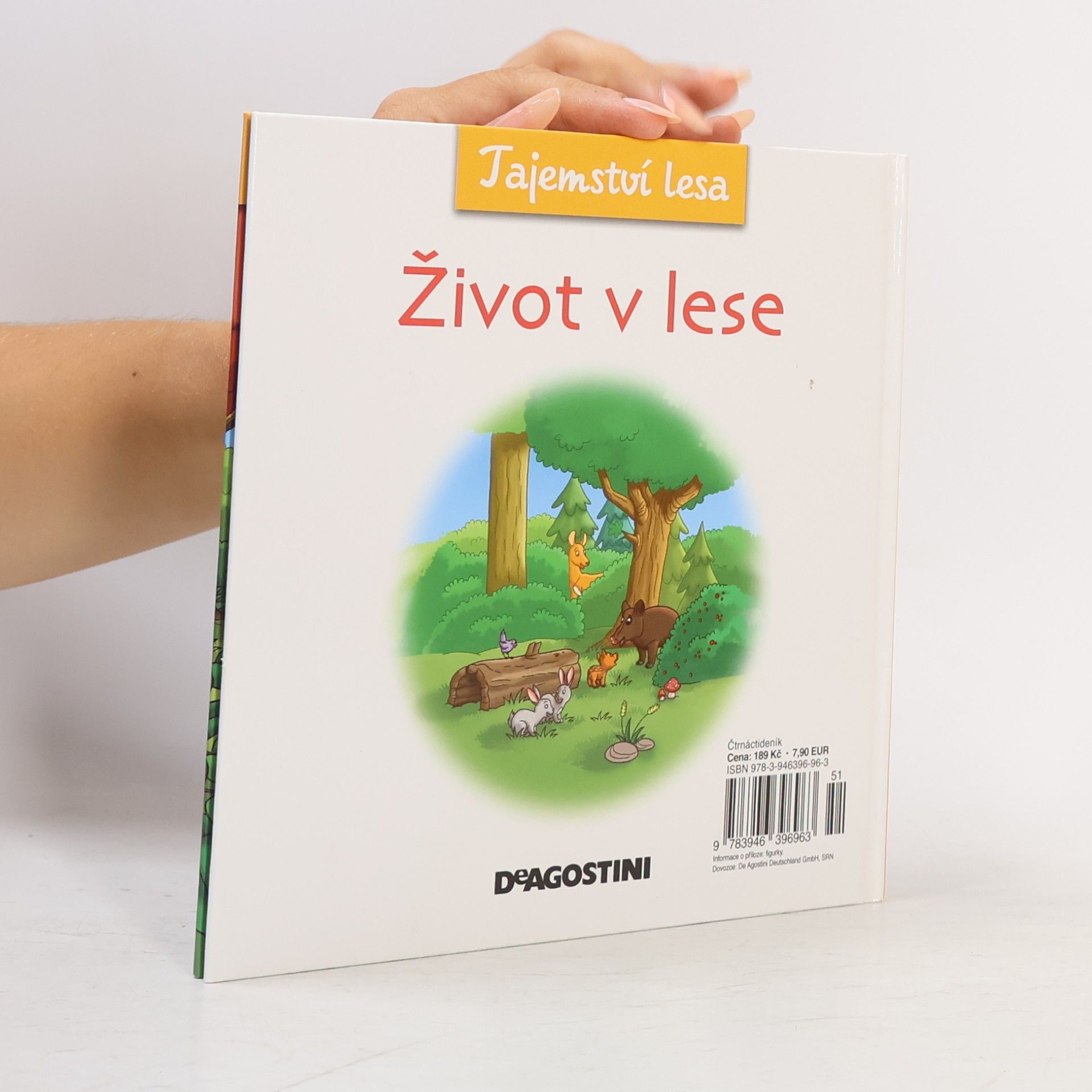 Collectif d'auteurs Tajemství lesa 9. Život v lese