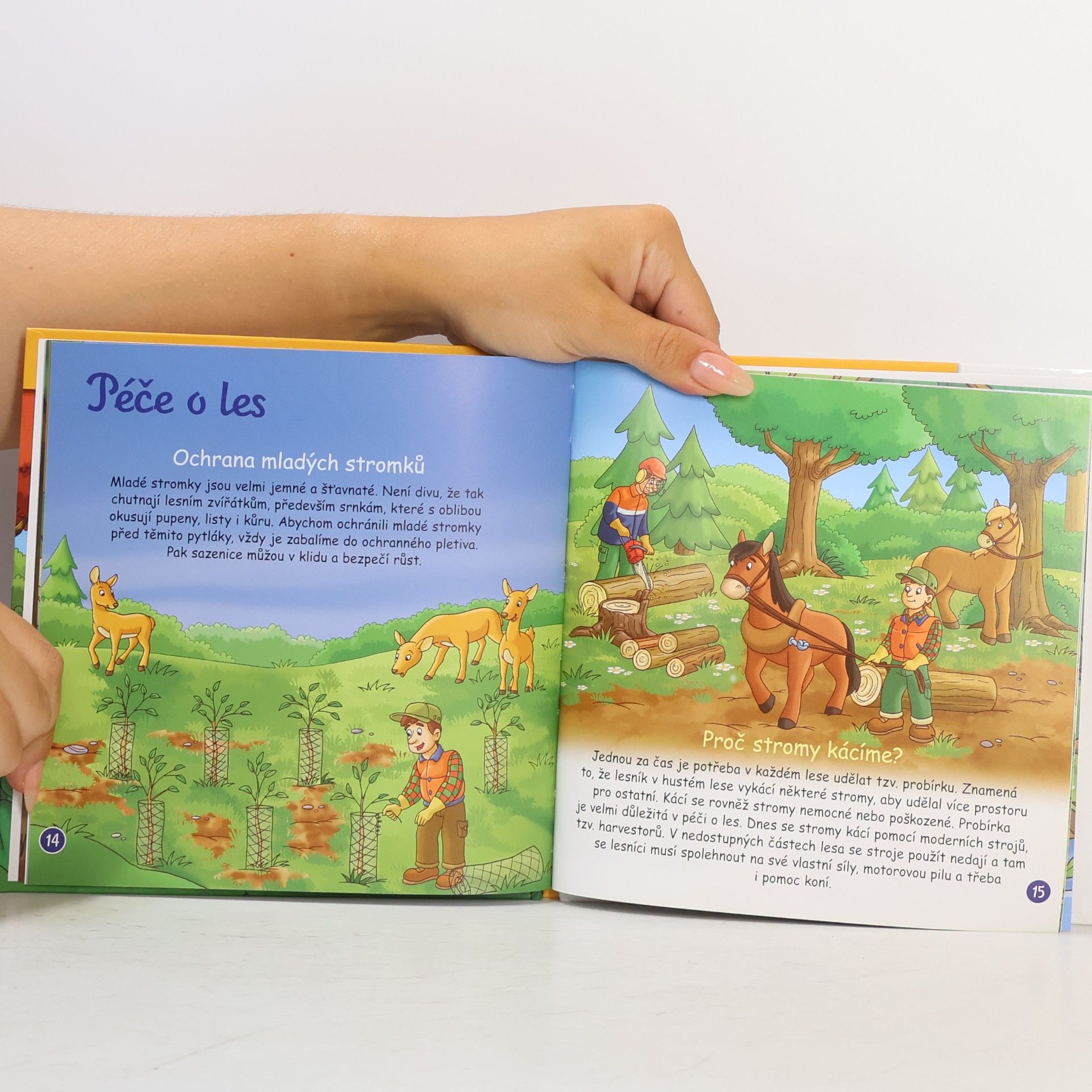 Collectif d'auteurs Tajemství lesa 9. Život v lese