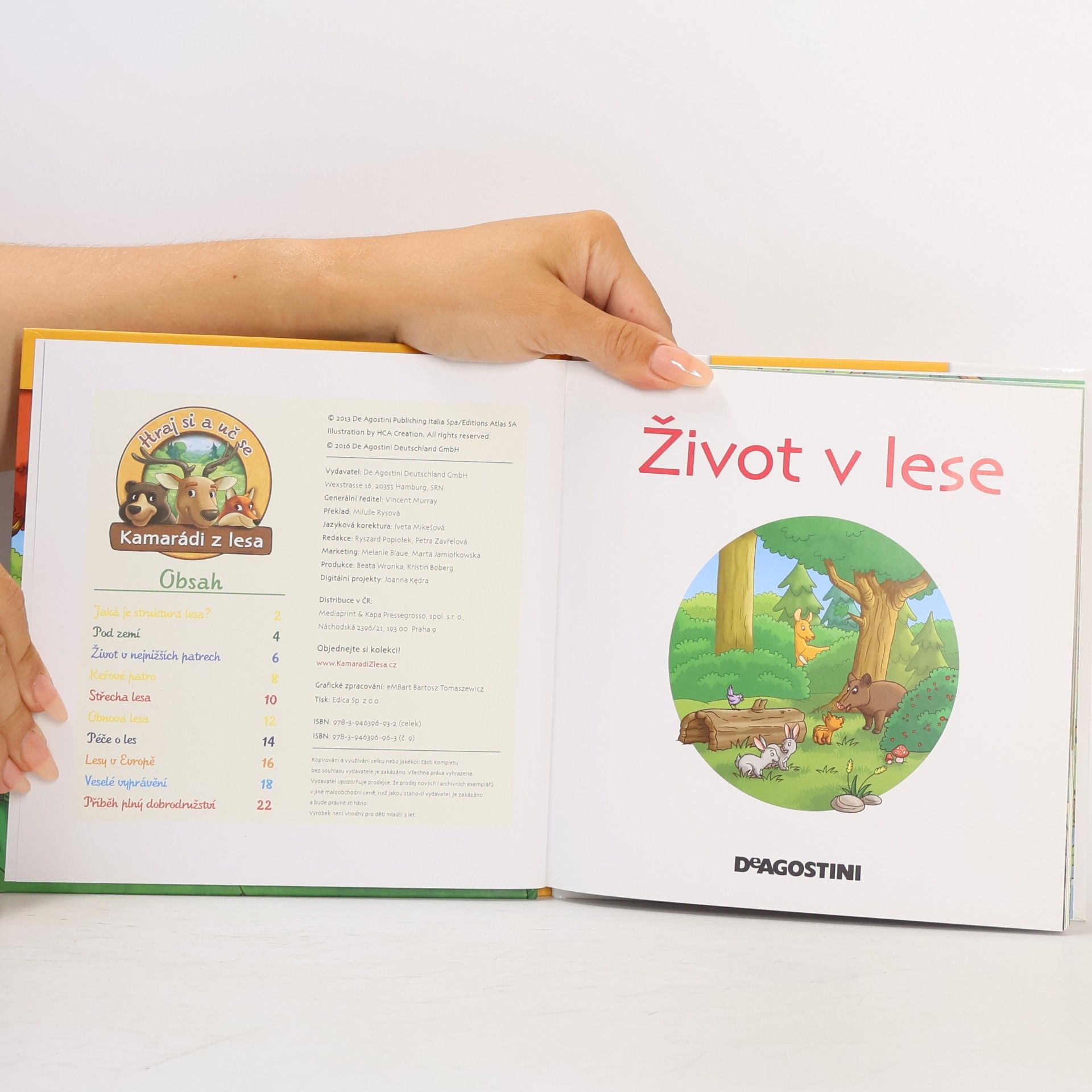 Collectif d'auteurs Tajemství lesa 9. Život v lese