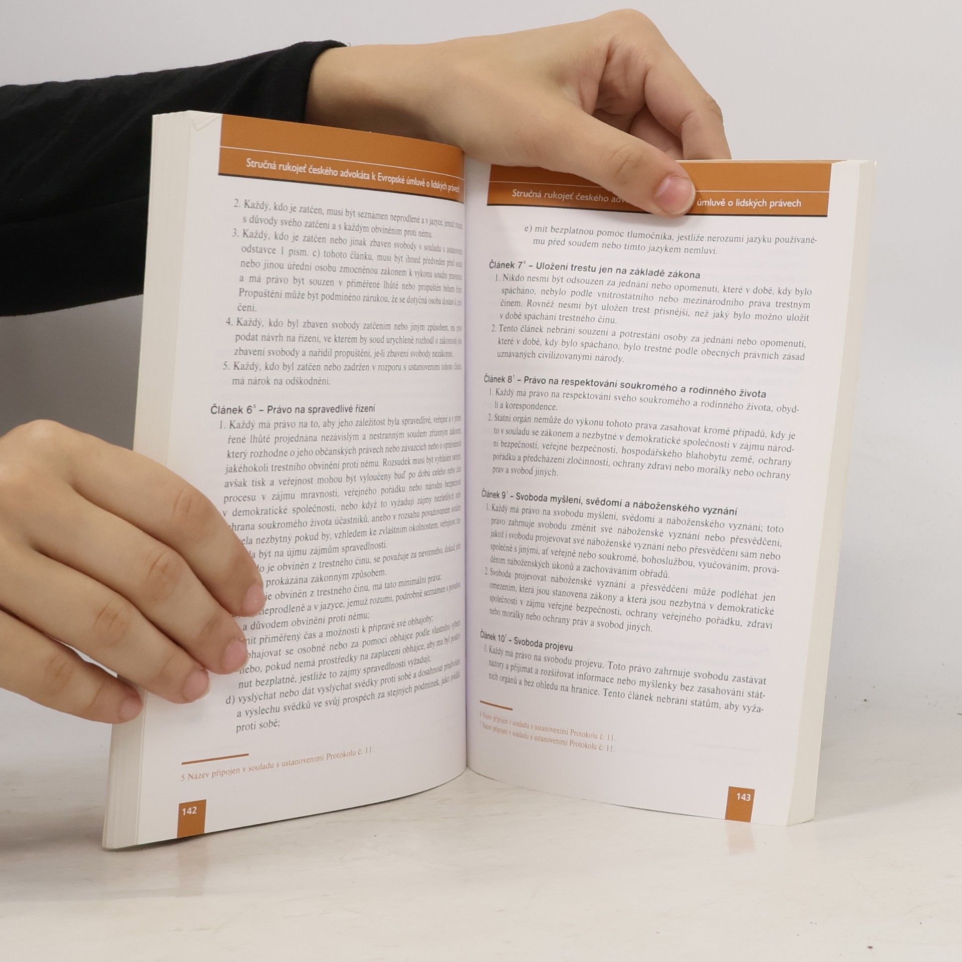 Autorenkollektiv Stručná rukojeť českého advokáta k evropské úmluvě o lidských právech. Bulletin advokacie, listopad 2008