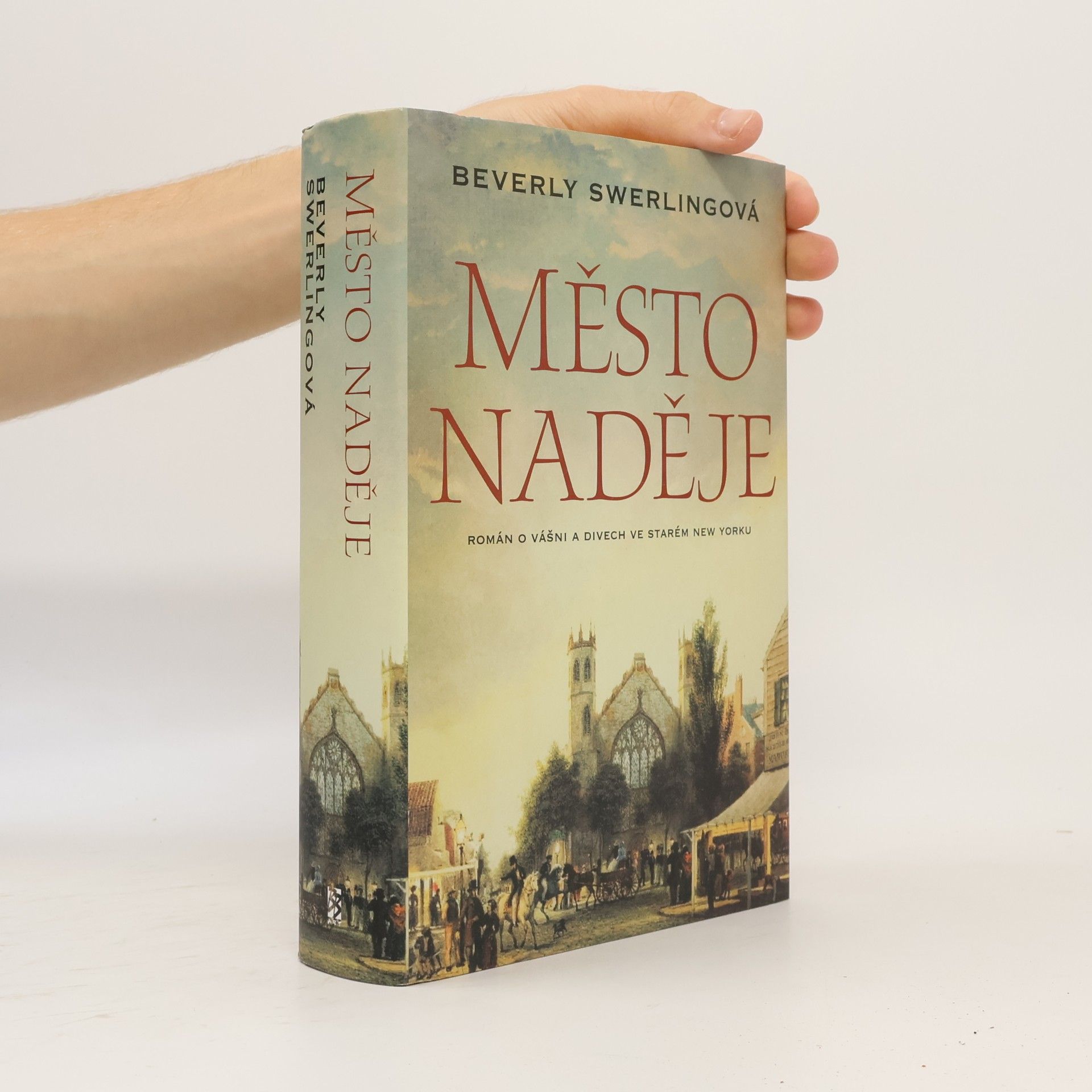 Beverly Swerling Město naděje