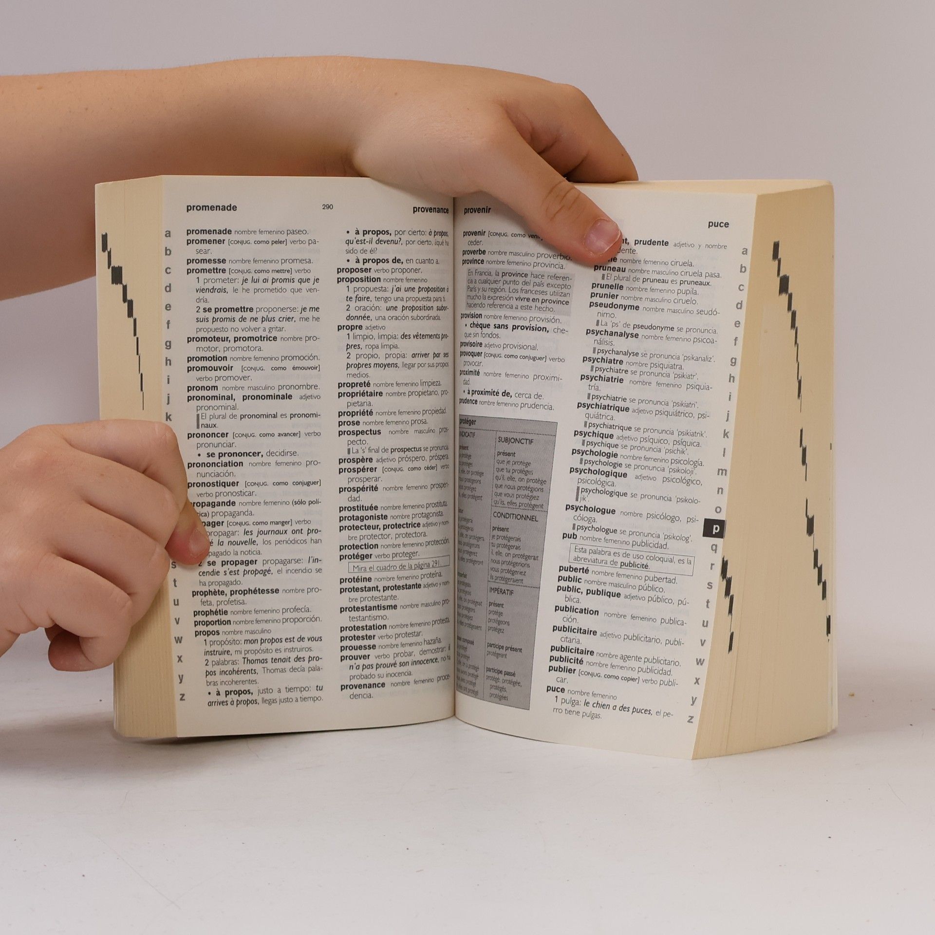 Dictionnaire espagnol bilingue