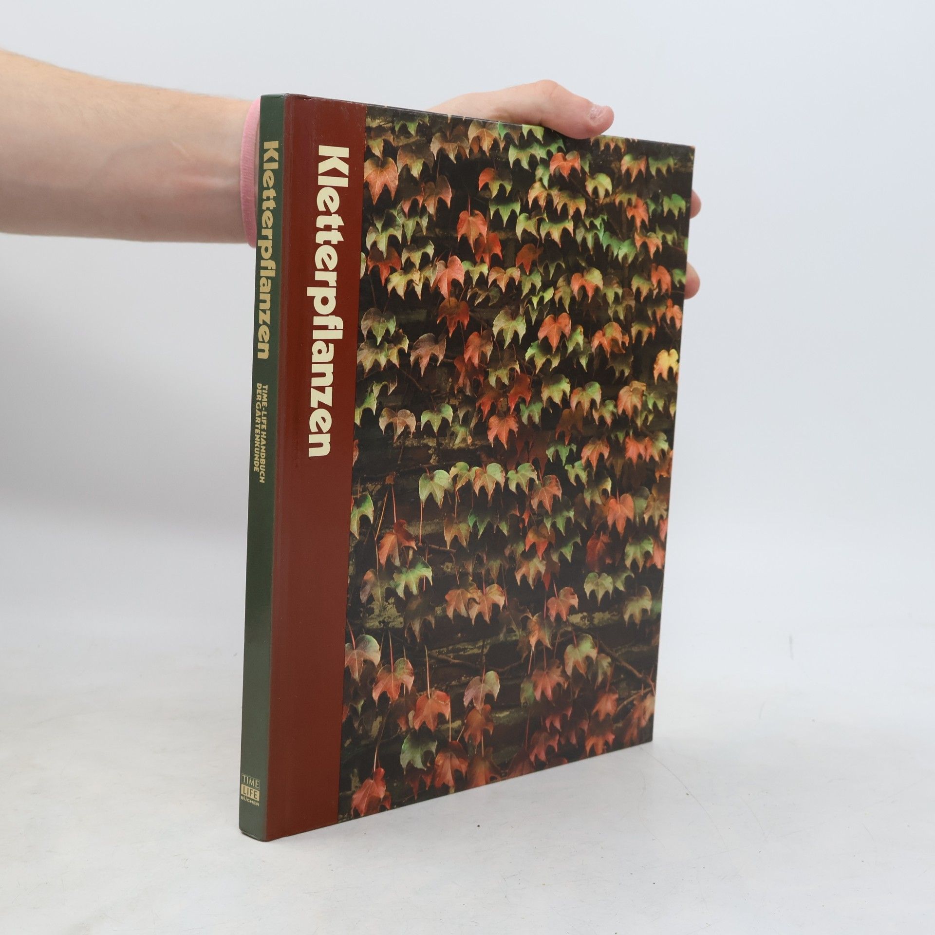 Autorenkollektiv Kletterpflanzen