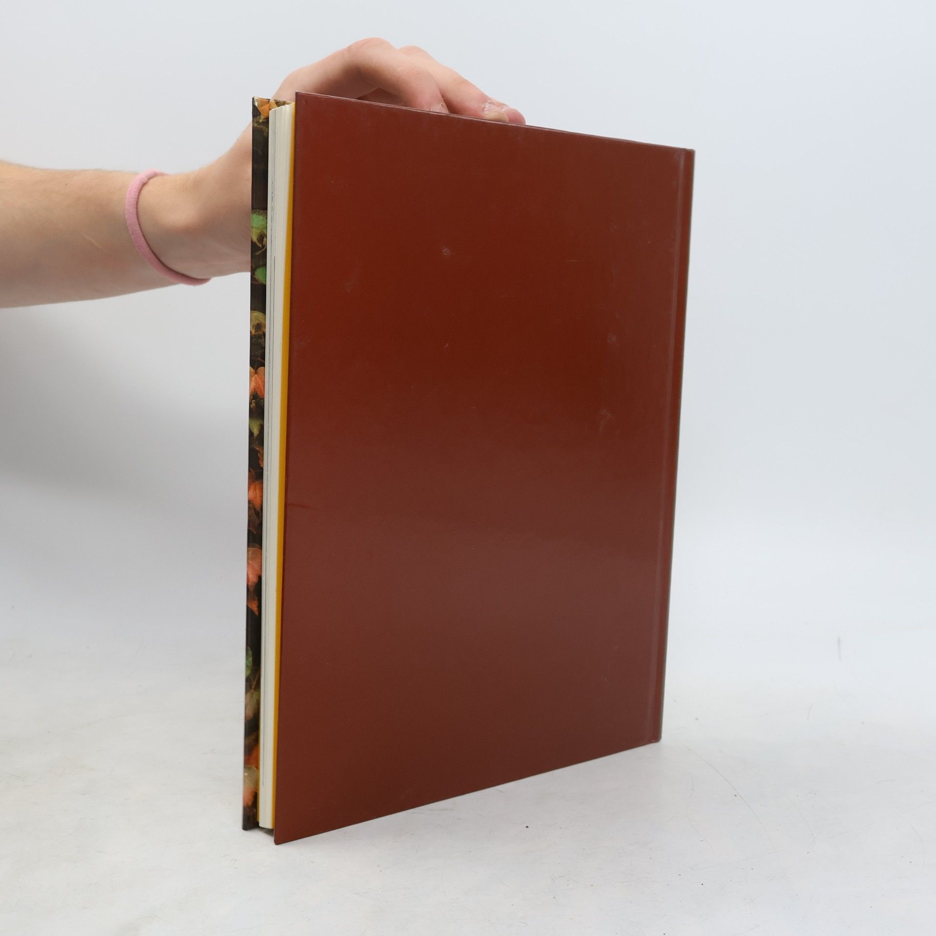 Collectif d'auteurs Kletterpflanzen