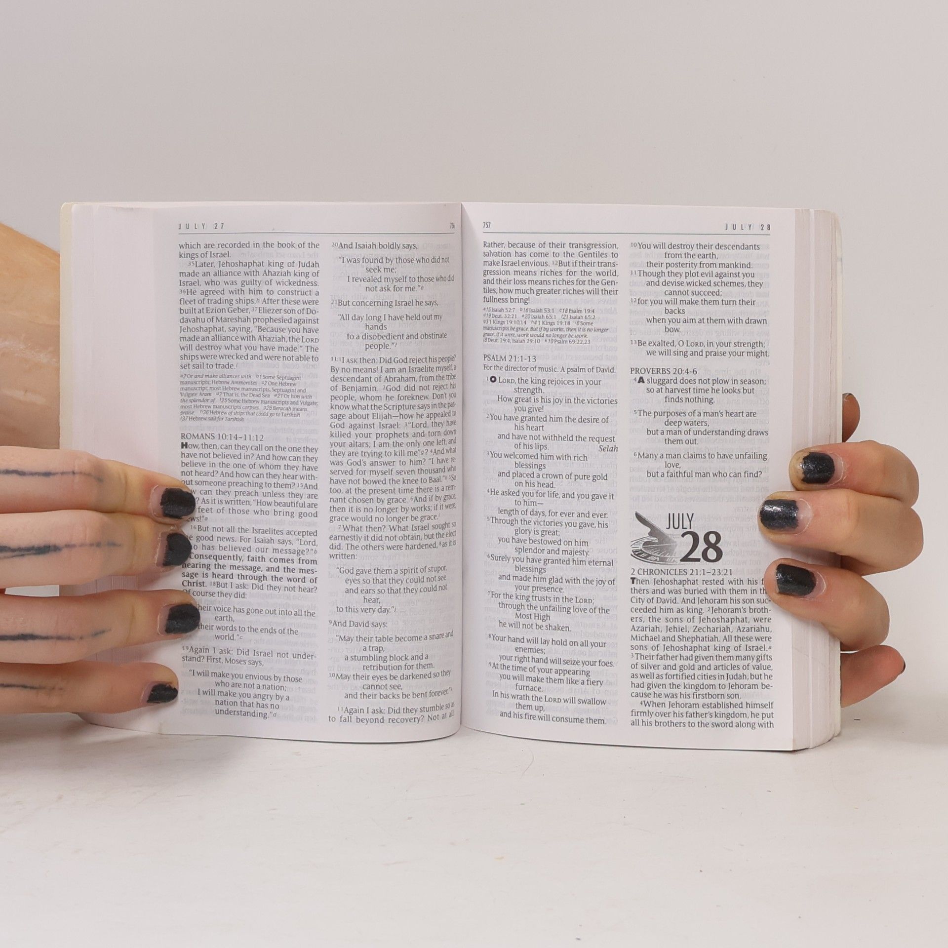 Anonymous New International Version: Holy Bible; The One Year Bible