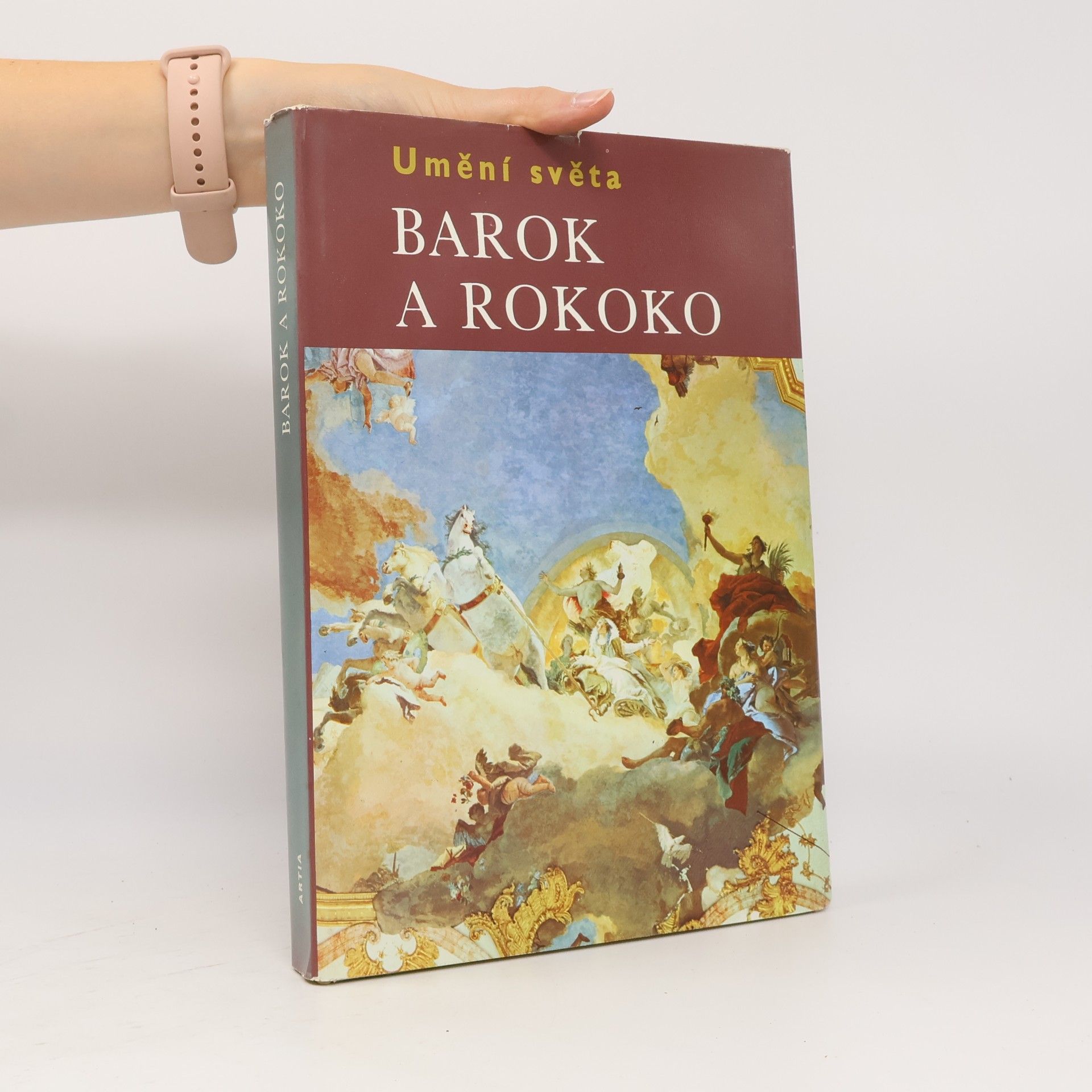Michael Kitson Baroko a rokoko