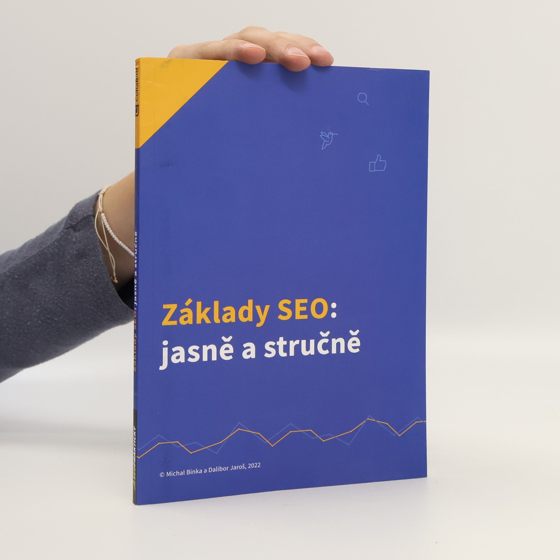 Michal Binka Základy SEO: Jasně a stručně
