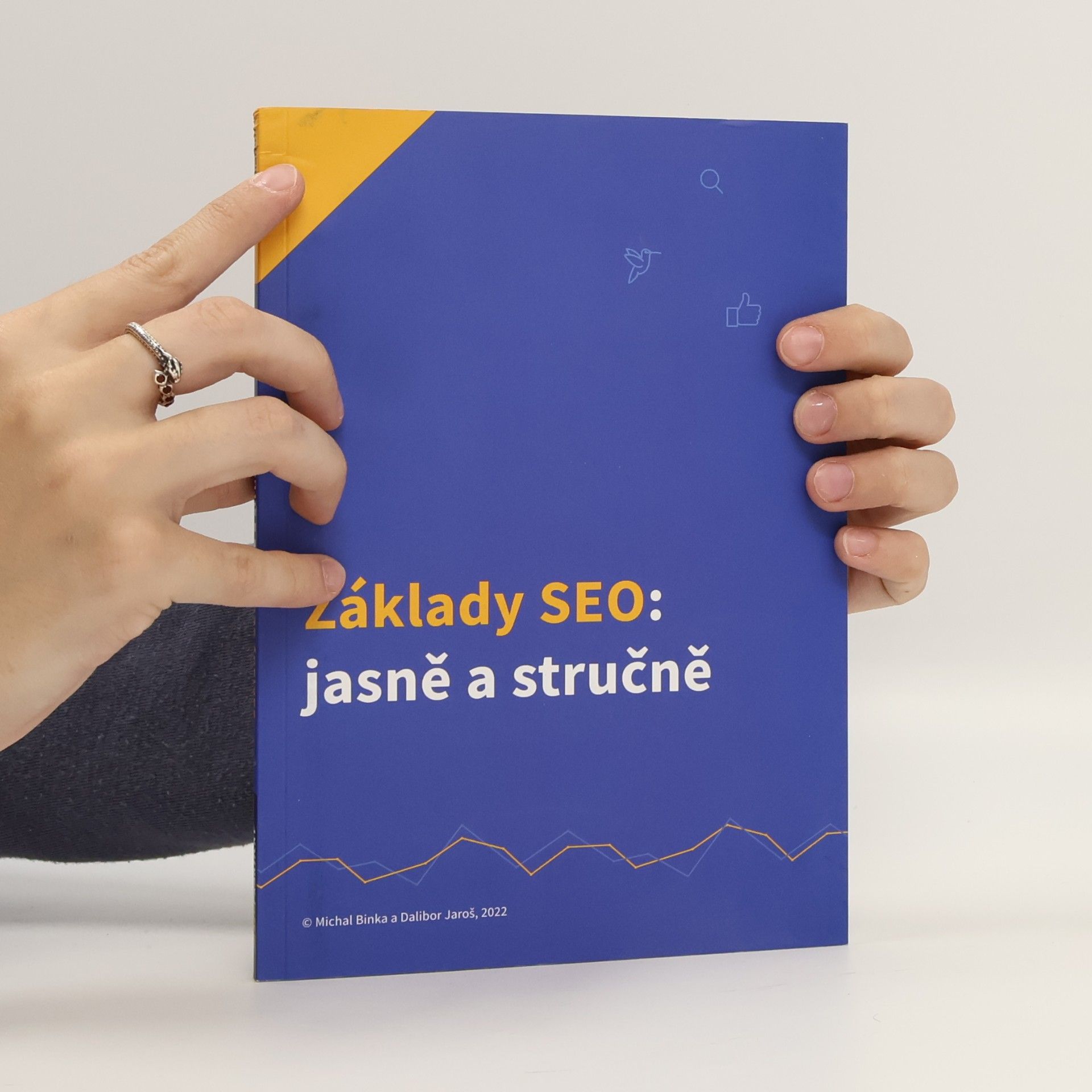 Michal Binka Základy SEO: Jasně a stručně