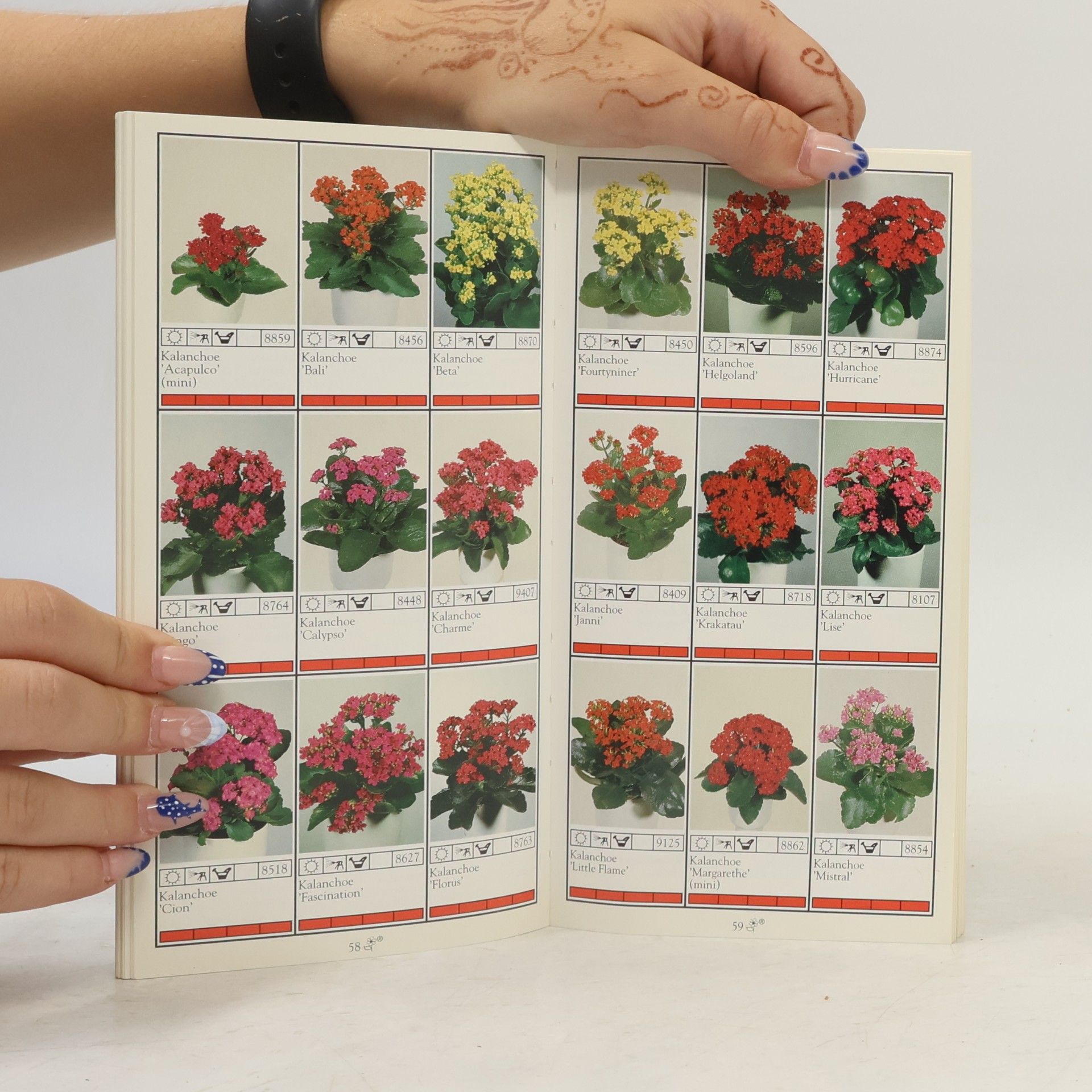 Collectif d'auteurs Potplanten. Pot Plants. Topfpflanzen. Plantes en pot. Piante da vaso. Planta en particular 1991/1992