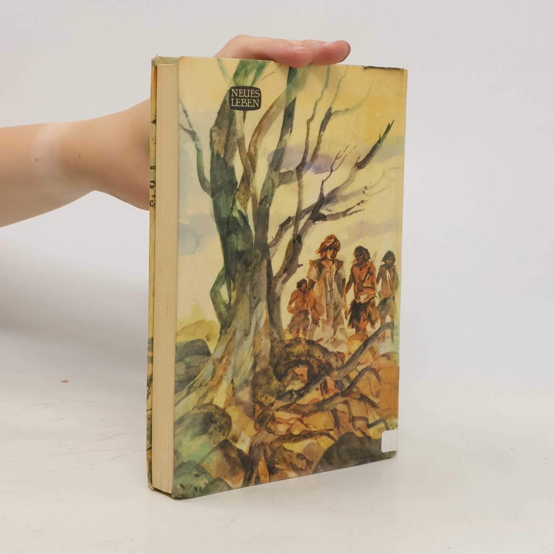 Elisabeth Hartenstein Am Rande der Wildnis