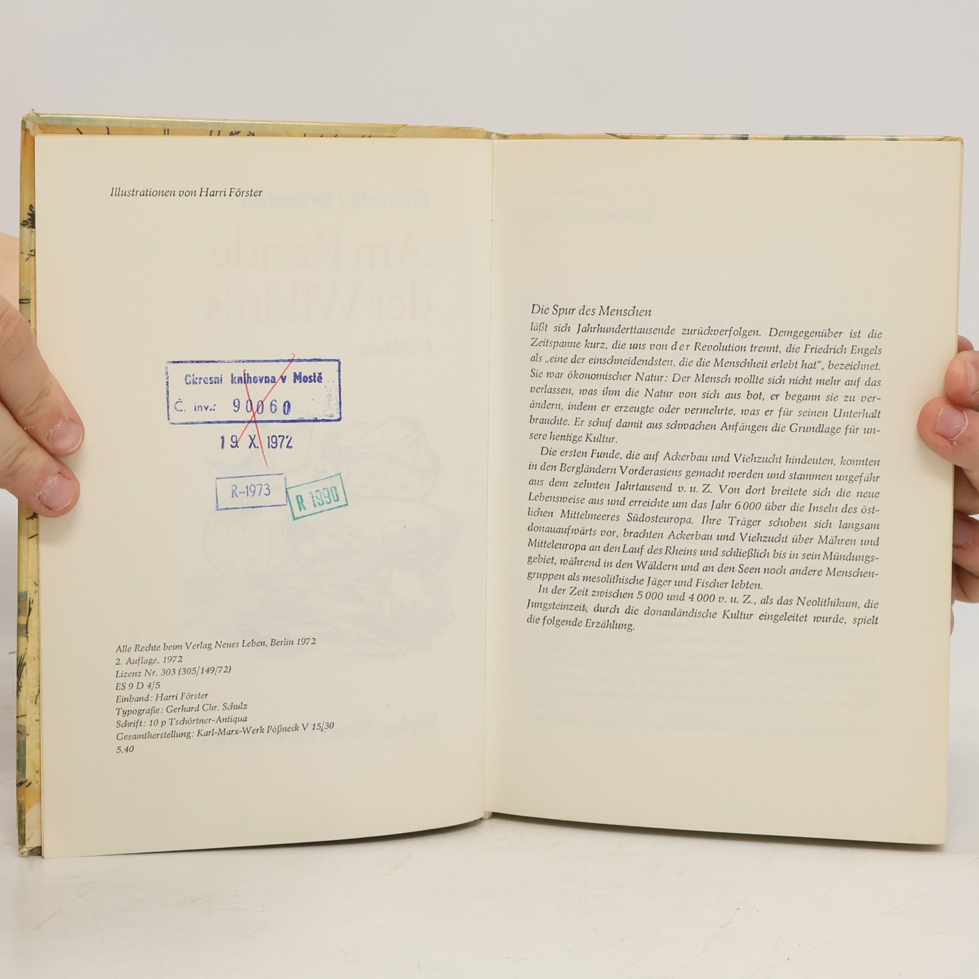Elisabeth Hartenstein Am Rande der Wildnis