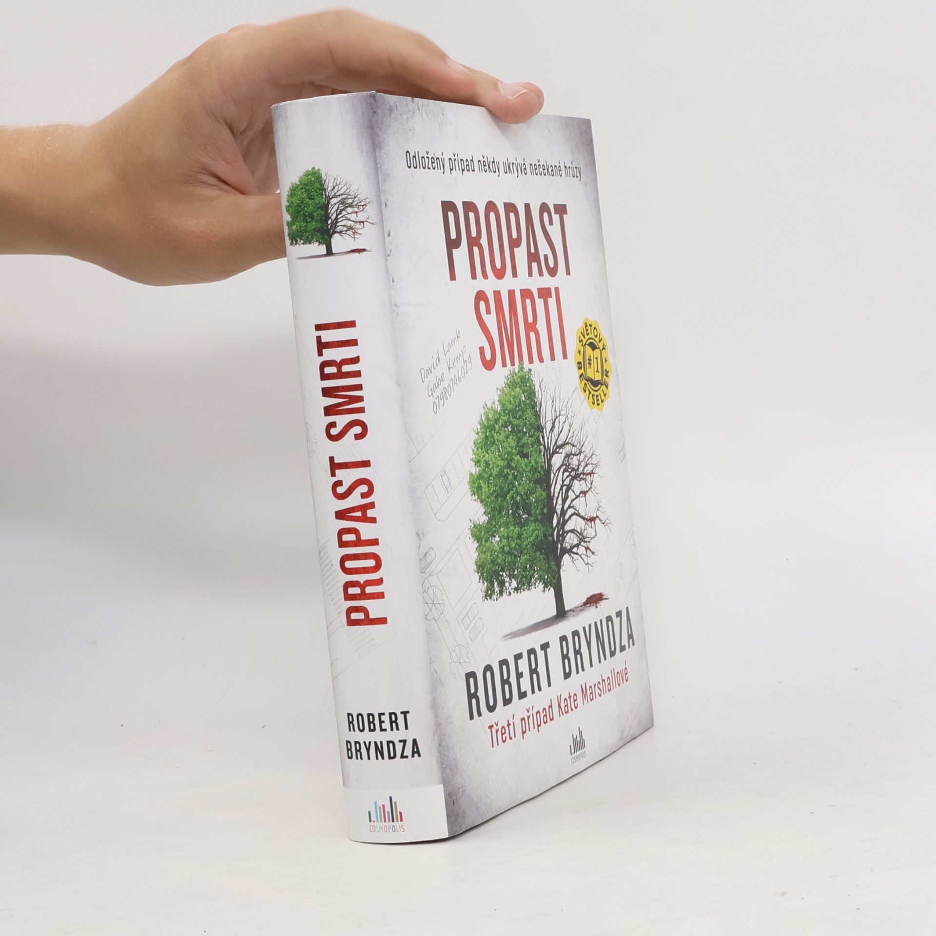 Robert Bryndza Propast smrti