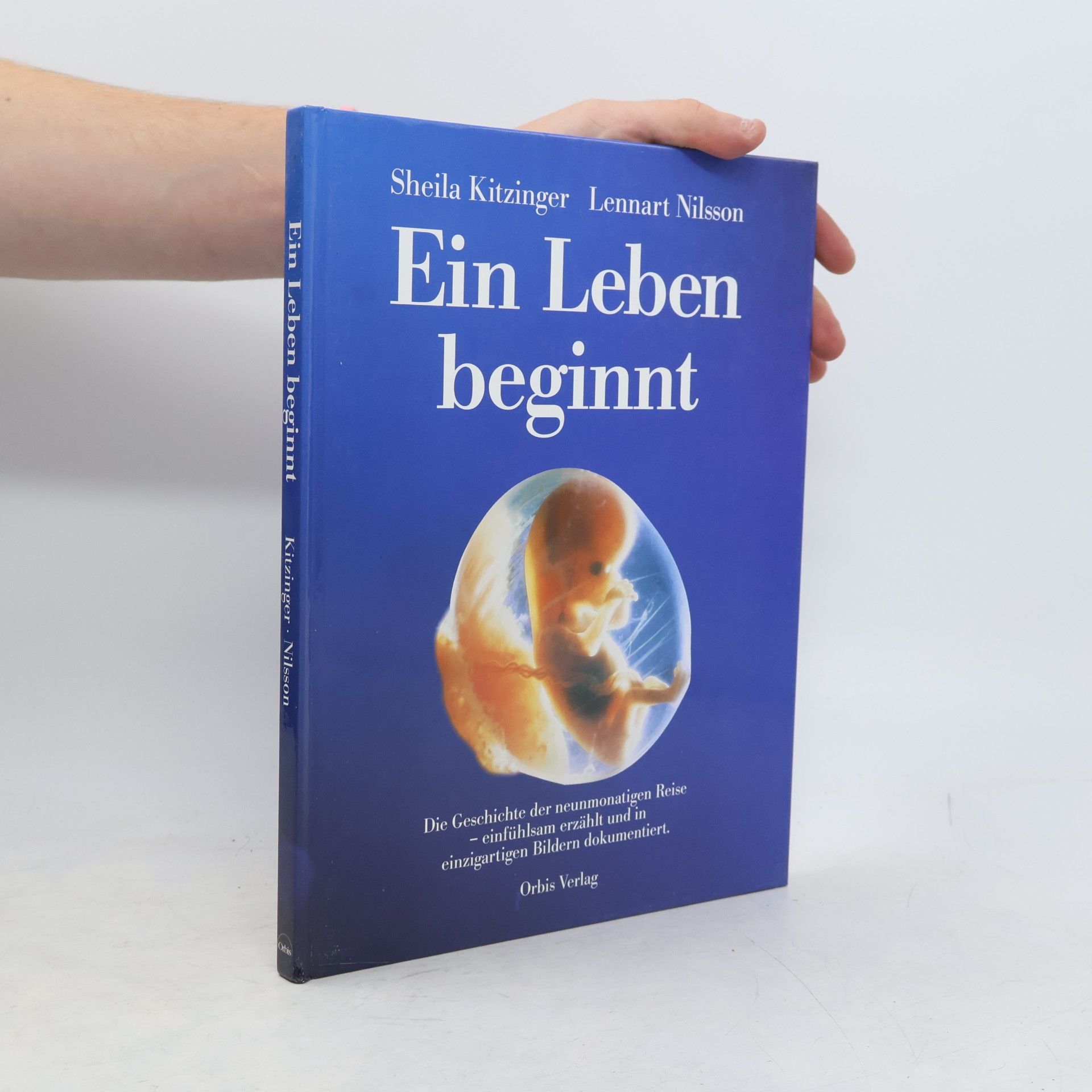 Sheila Kitzinger Ein Leben beginnt