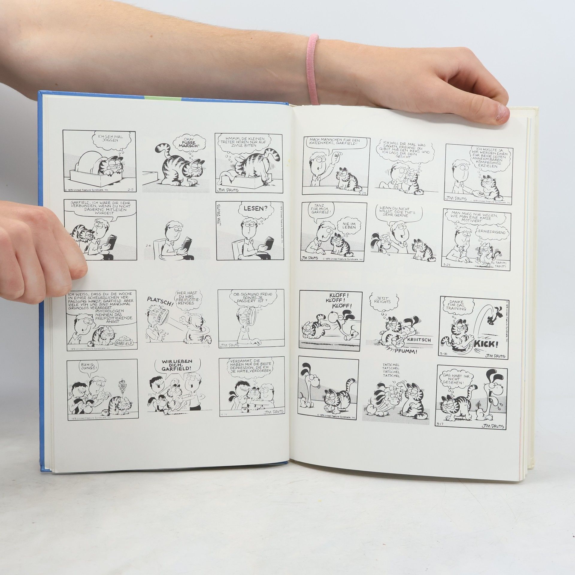 Jim Davis Die Garfield Revue