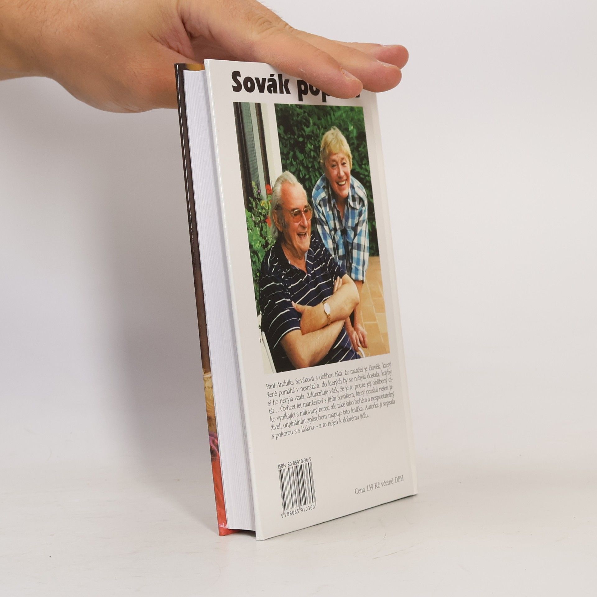 Anna Sováková Sovák popáté. Život se Sovákem, aneb, Uragán