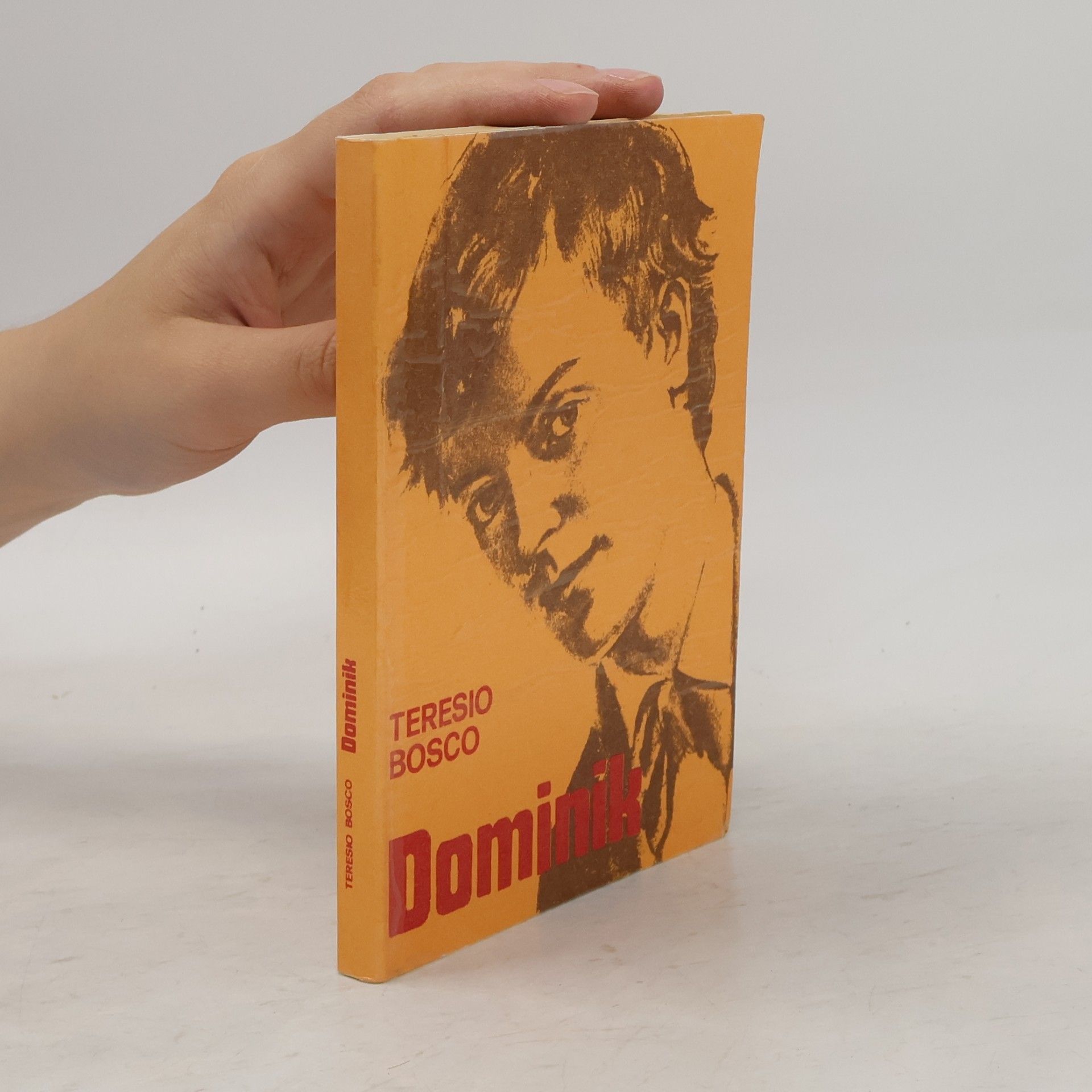 Teresio Bosco Dominik