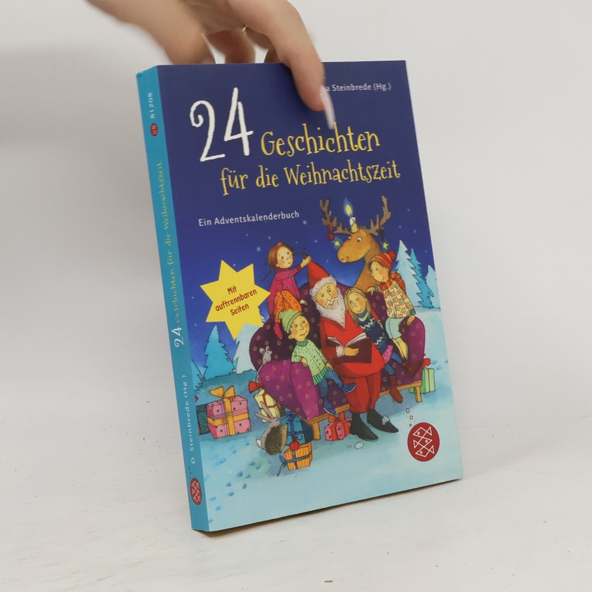 Diana Steinbrede 24 Geschichten für die Weihnachtszeit