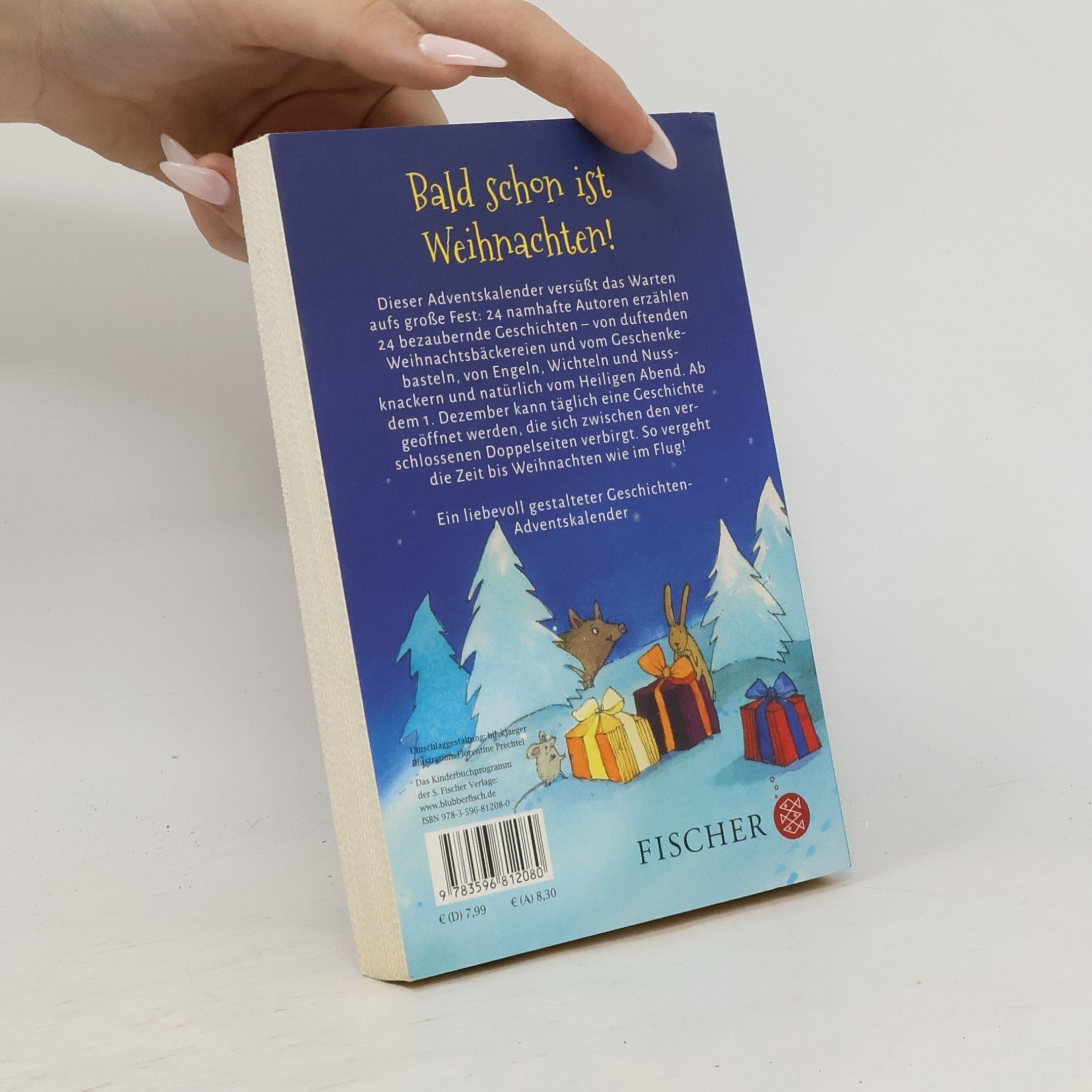 Diana Steinbrede 24 Geschichten für die Weihnachtszeit