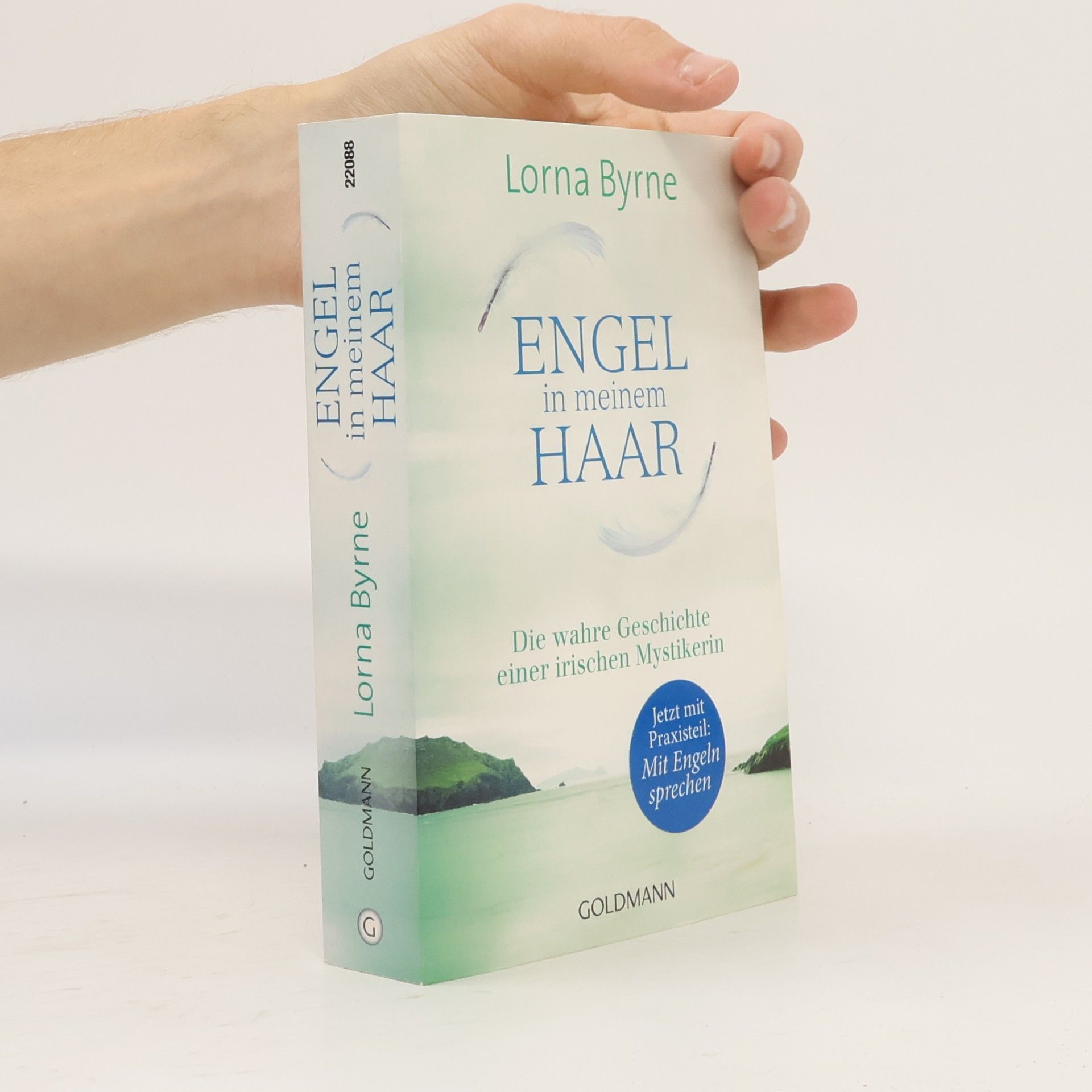 Lorna Byrne Engel in meinem Haar