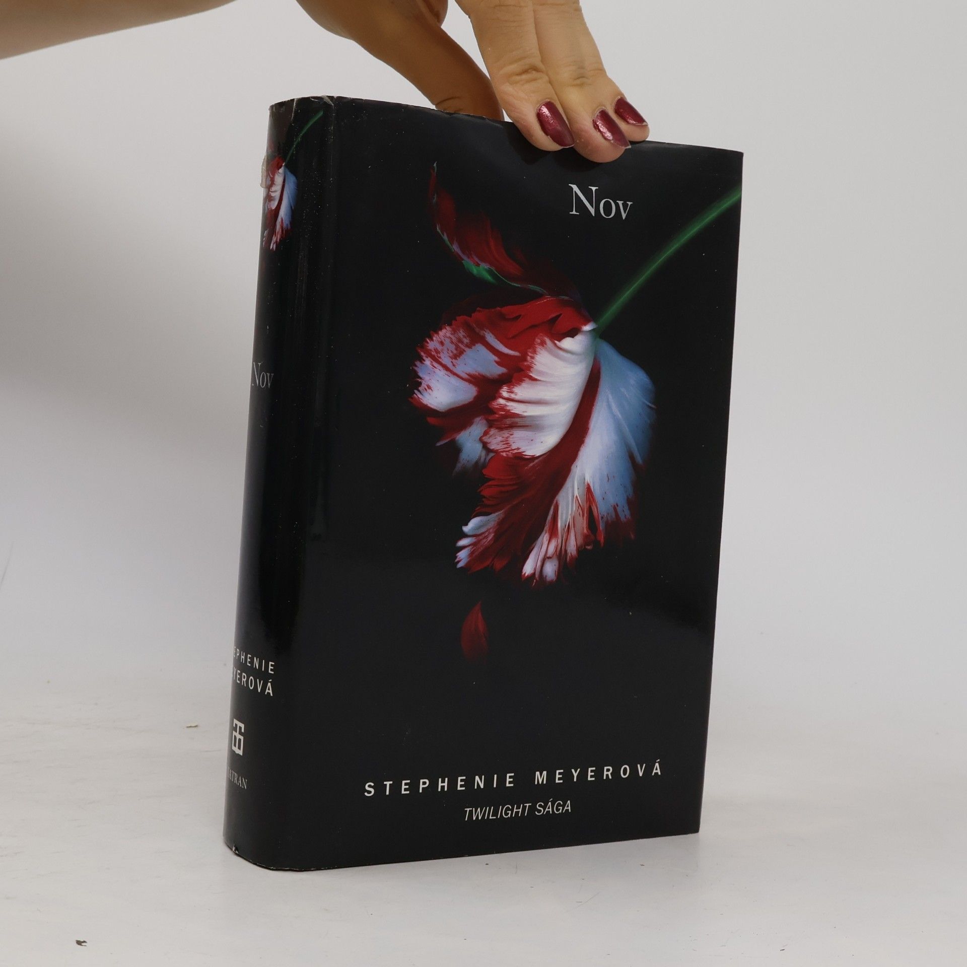 Stephenie Meyer Nov