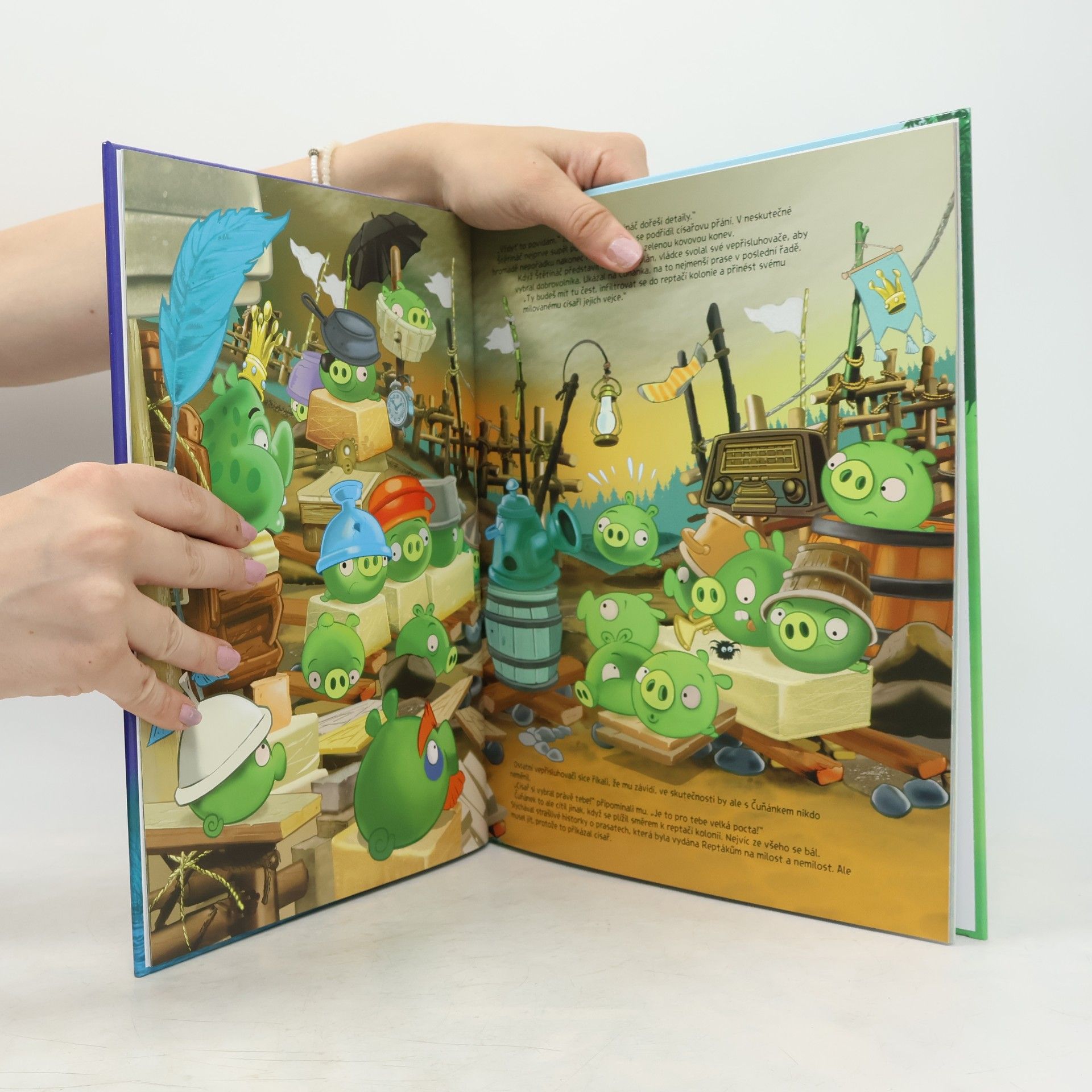 Tapani Bagge Angry Birds. Záhada zeleného ptáka