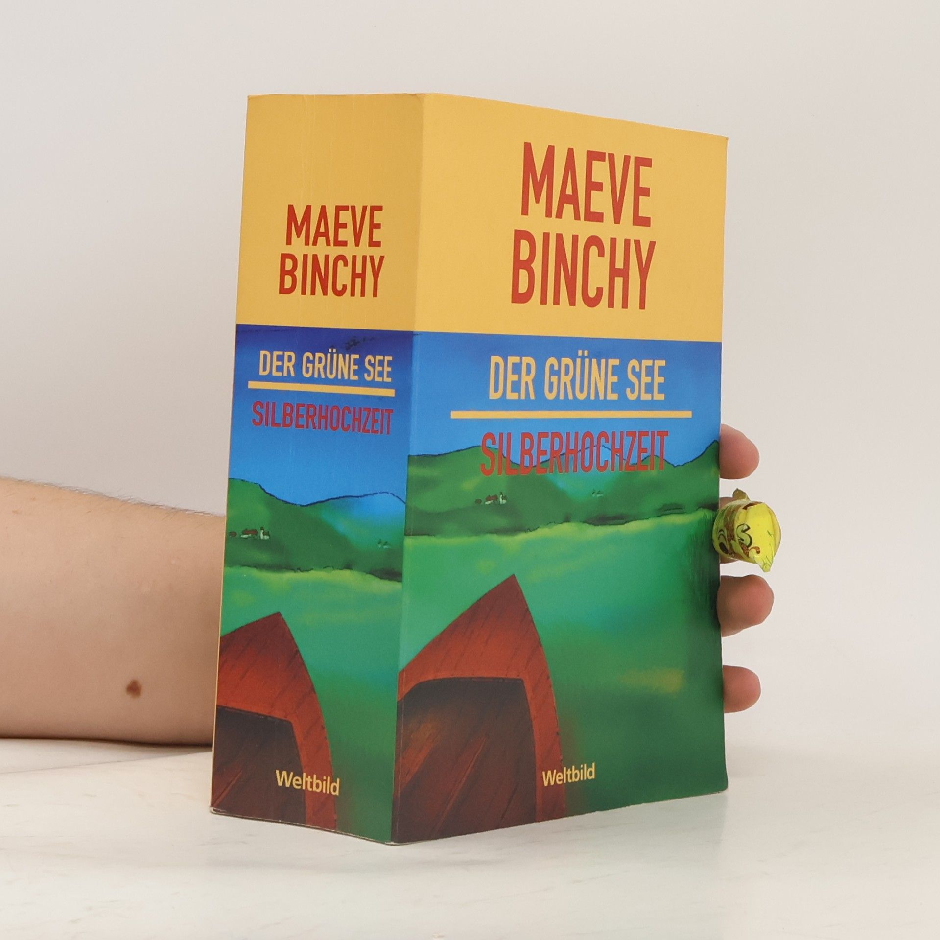 Maeve Binchy Der grüne See. Silberhochzeit