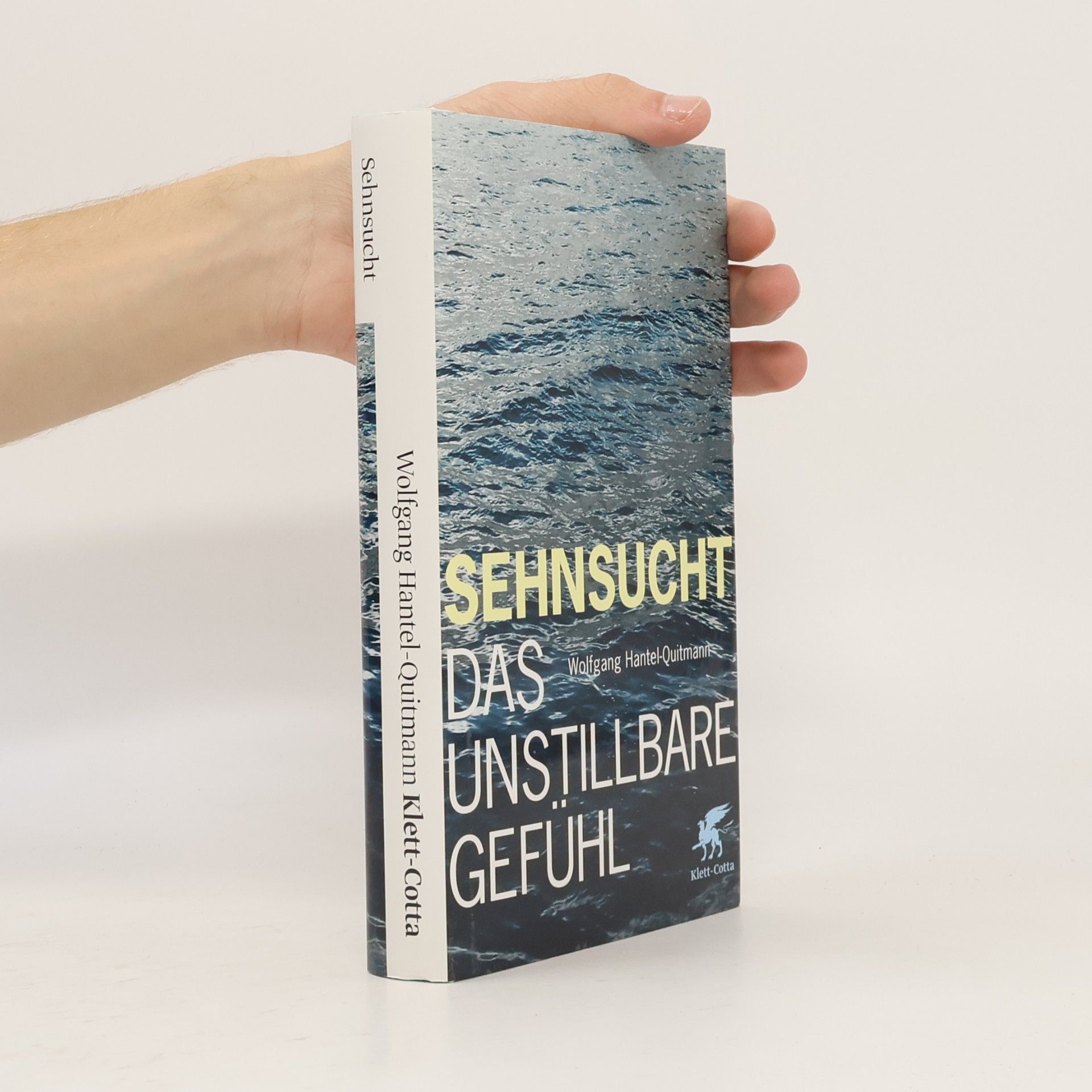 Wolfgang Hantel-Quitmann Das Unstillbare Gefühl