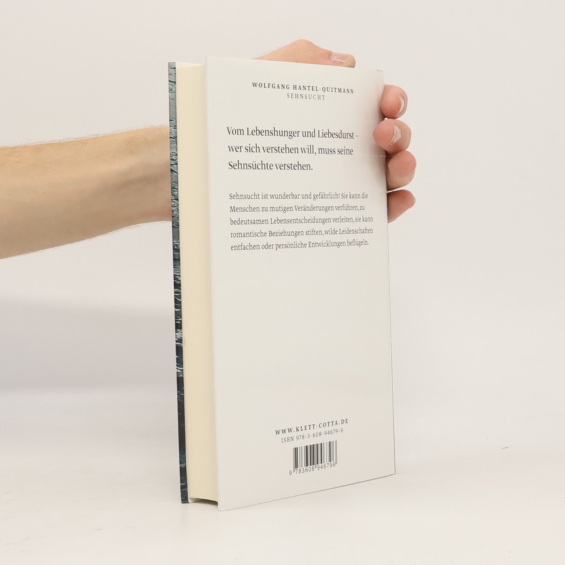 Wolfgang Hantel-Quitmann Das Unstillbare Gefühl