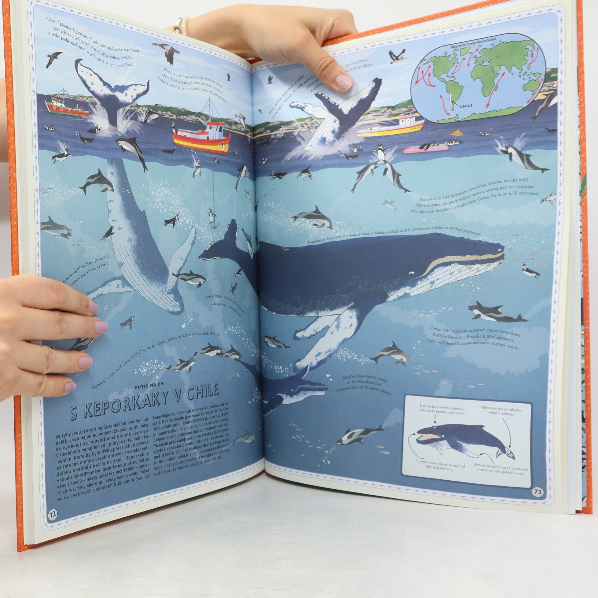 Emily Hawkins Atlas dobrodružství: Zvířata