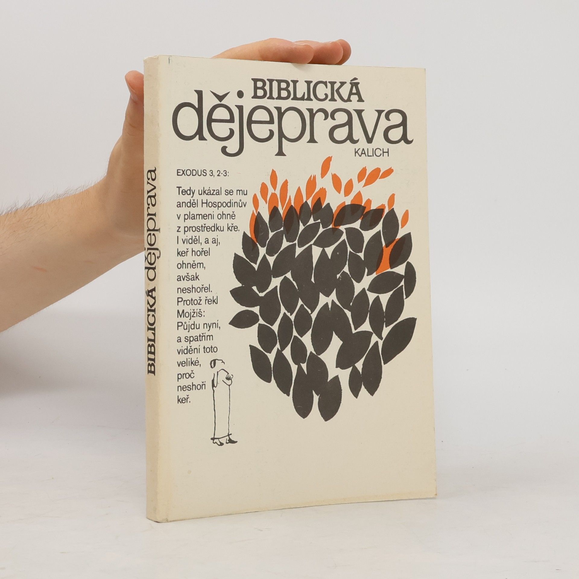 Viktor Hájek Biblická dějeprava