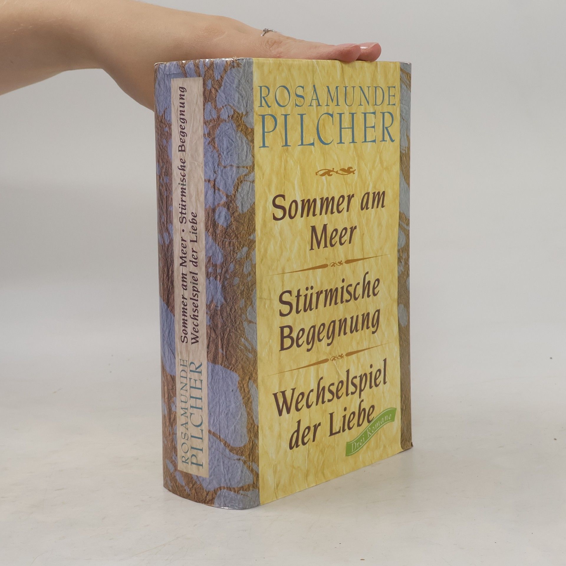 Rosamunde Pilcher Sommer am Meer. Stürmische Begegnung. Wechselspiel der Liebe