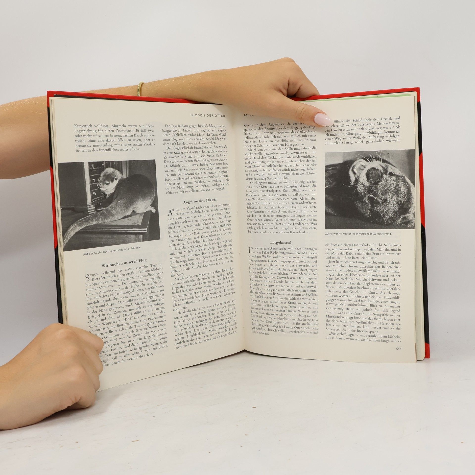 kolektiv Das Grosse Reader's Digest Jugendbuch 8