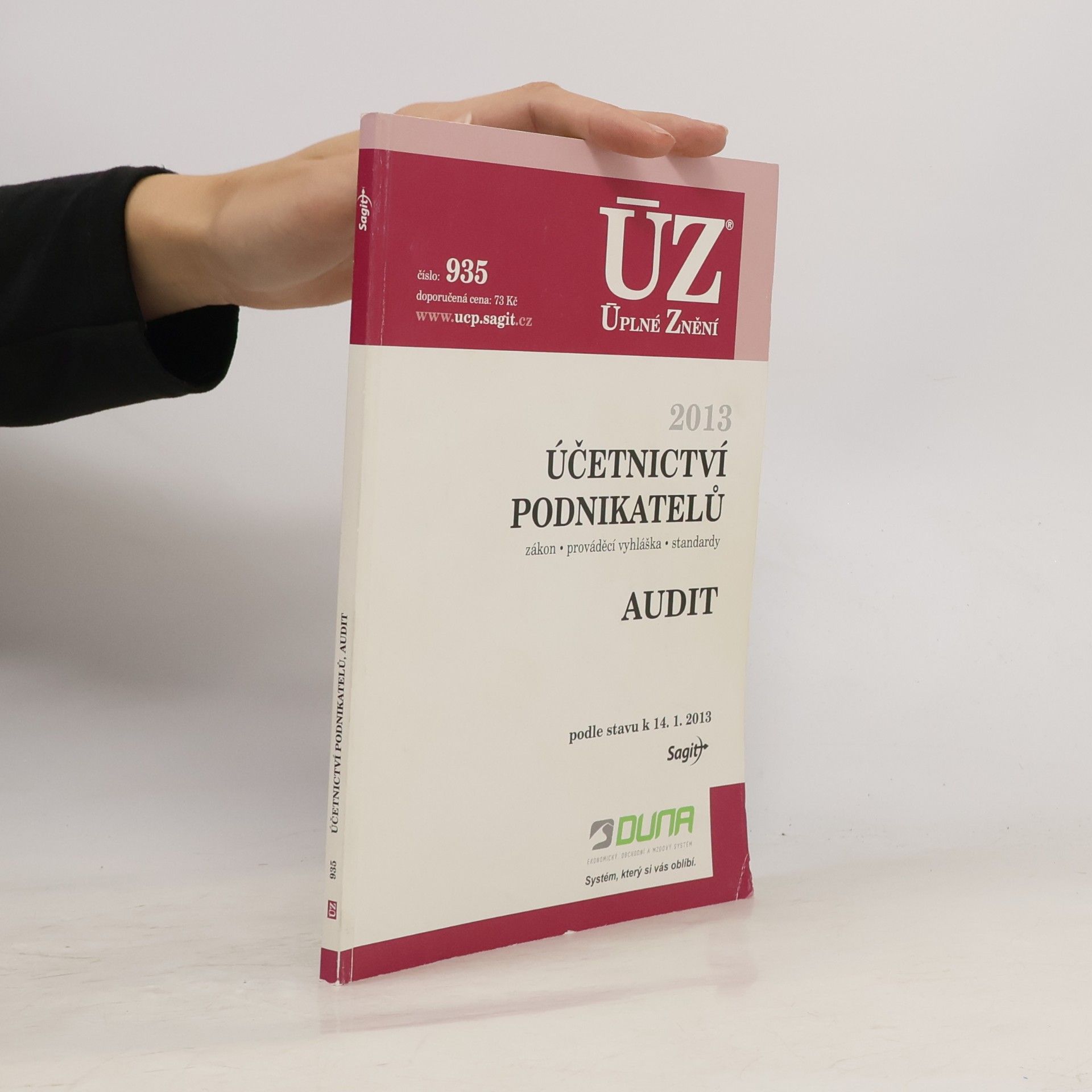 Autorenkollektiv Účetnictví podnikatelů. Audit 2013